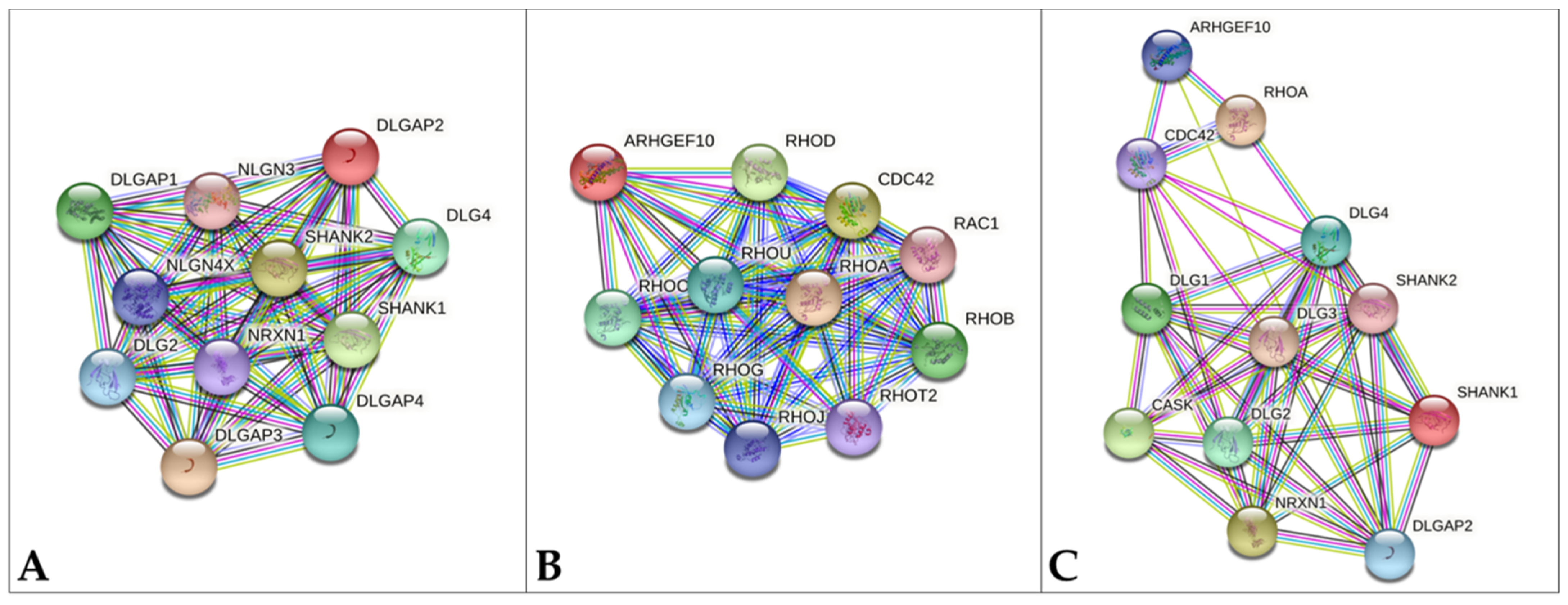 Genes 12 00652 g002