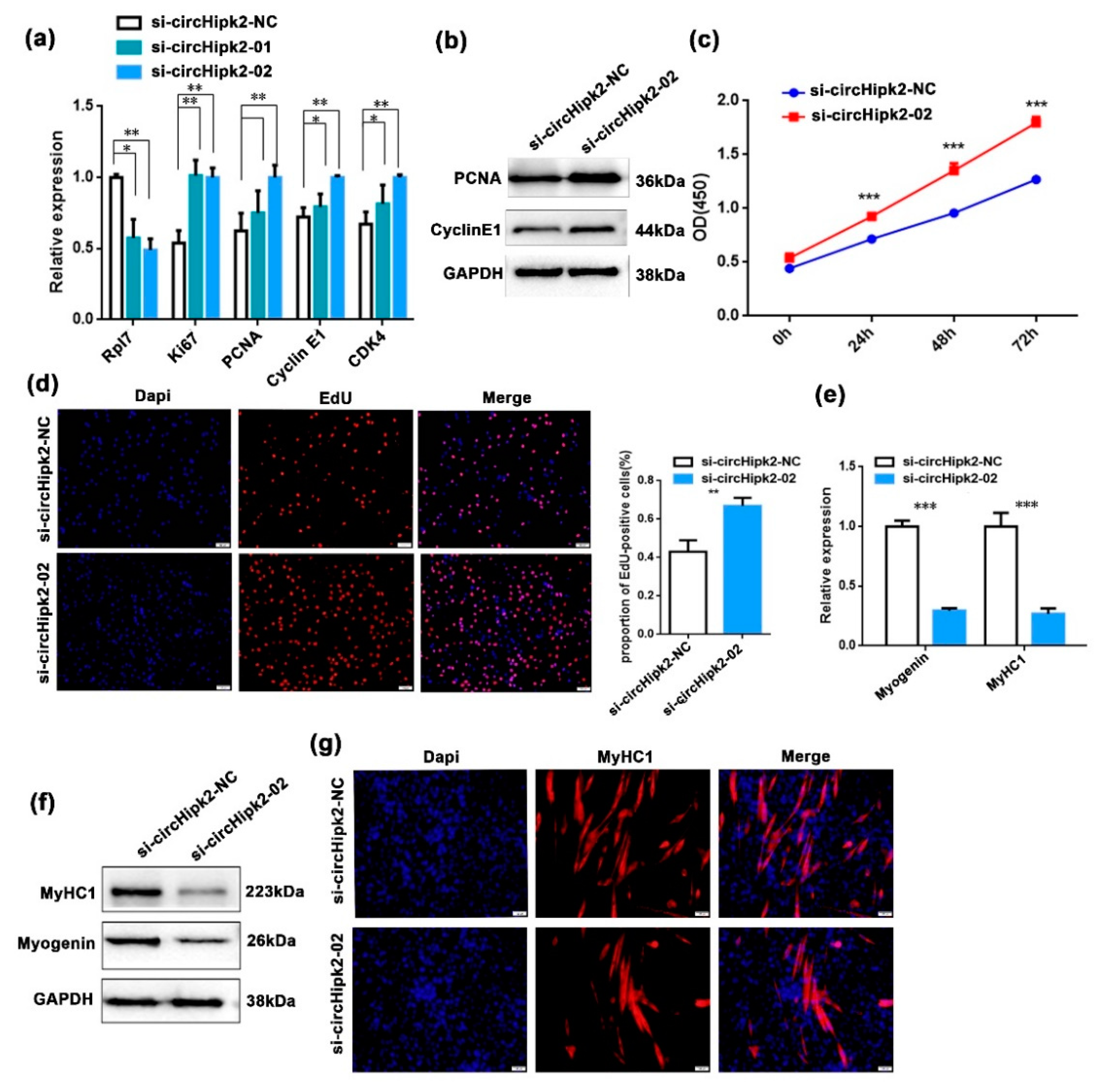 Genes 12 00696 g002 Genes 12 00696 g002