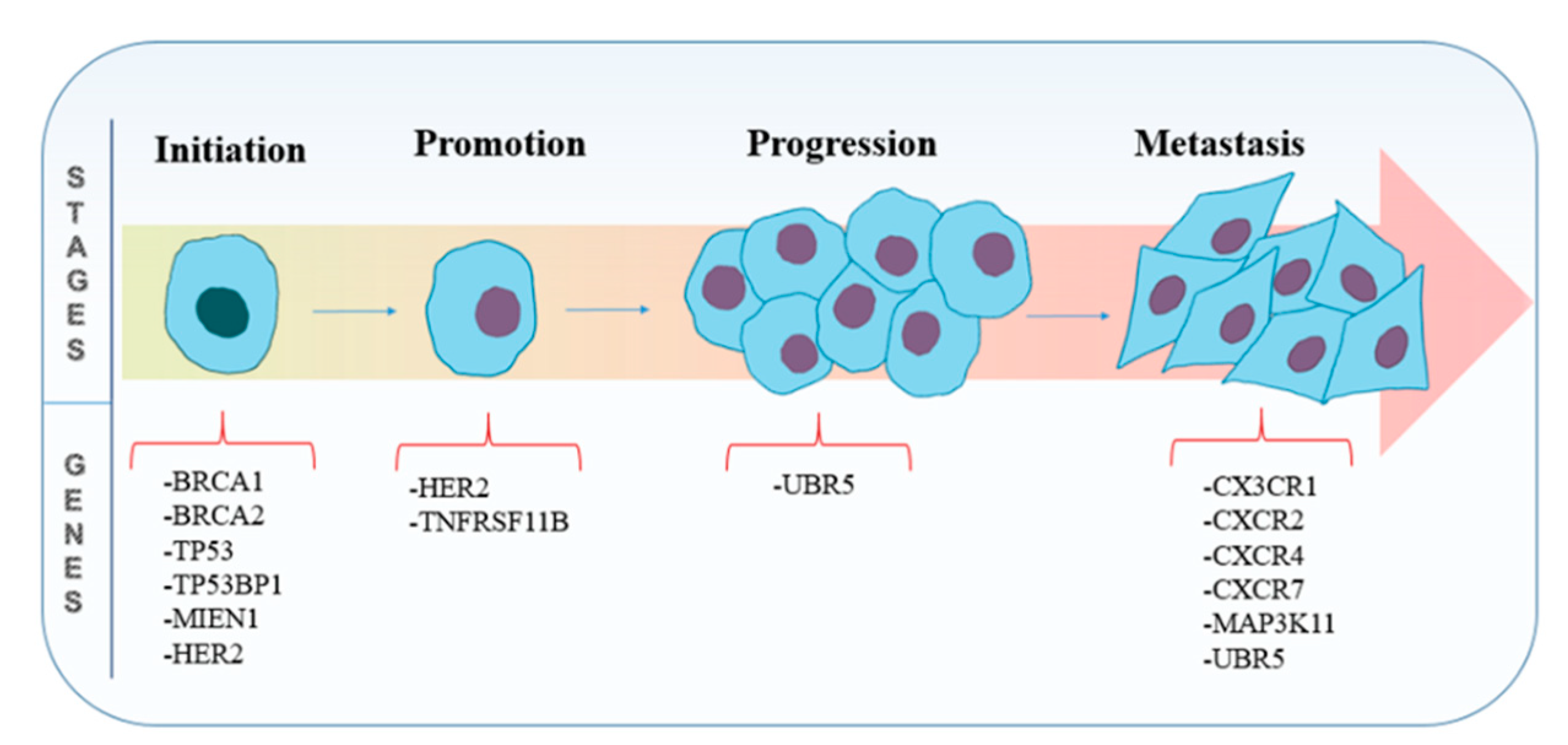 Gene-editing technique CRISPR identifies dangerous breast cancer