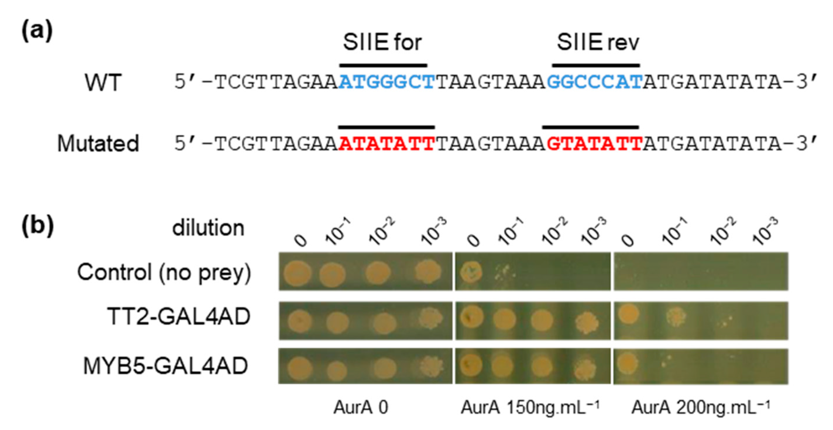 Genes 12 00746 g002