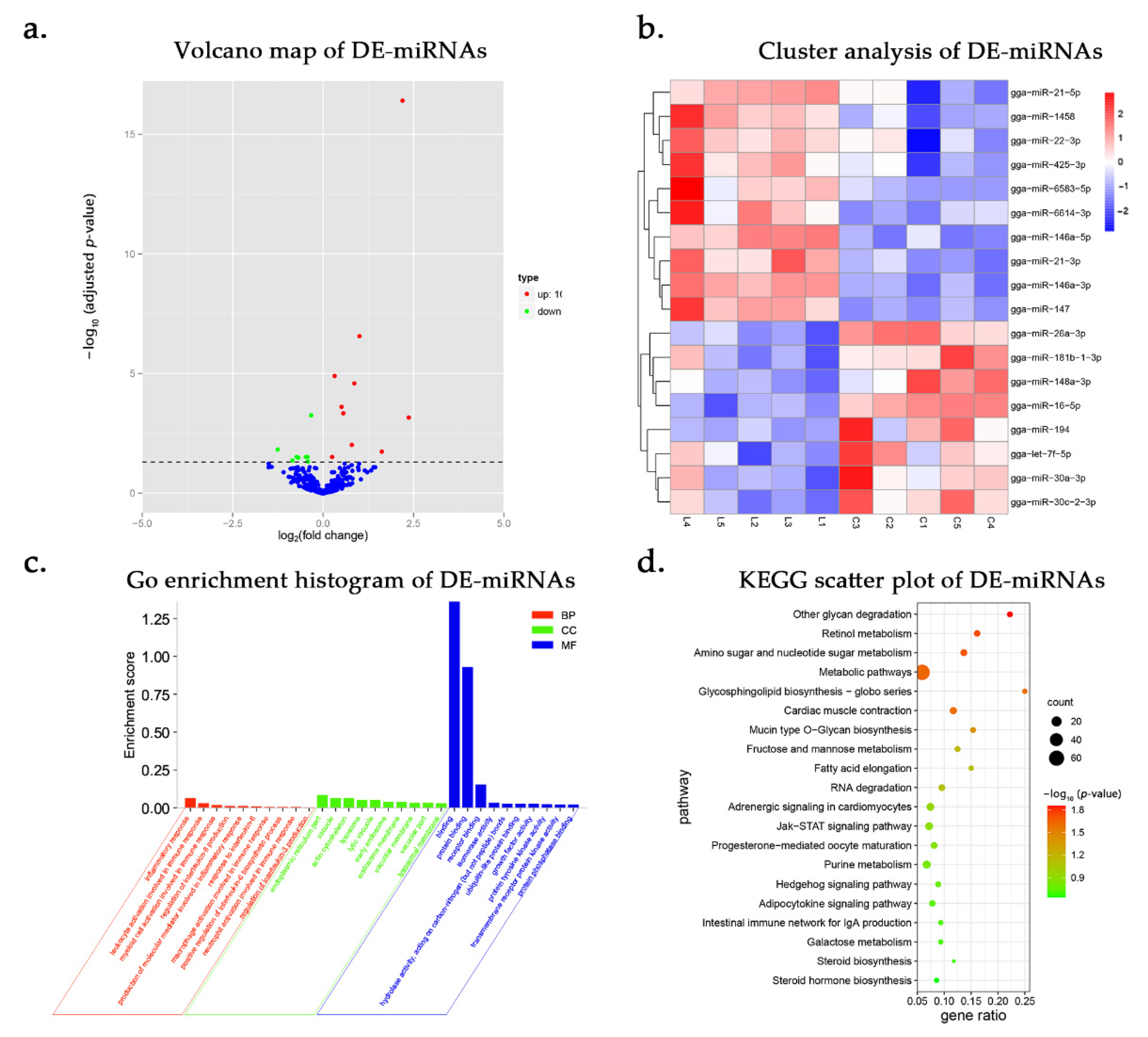 Genes 12 00760 g002 Genes 12 00760 g002