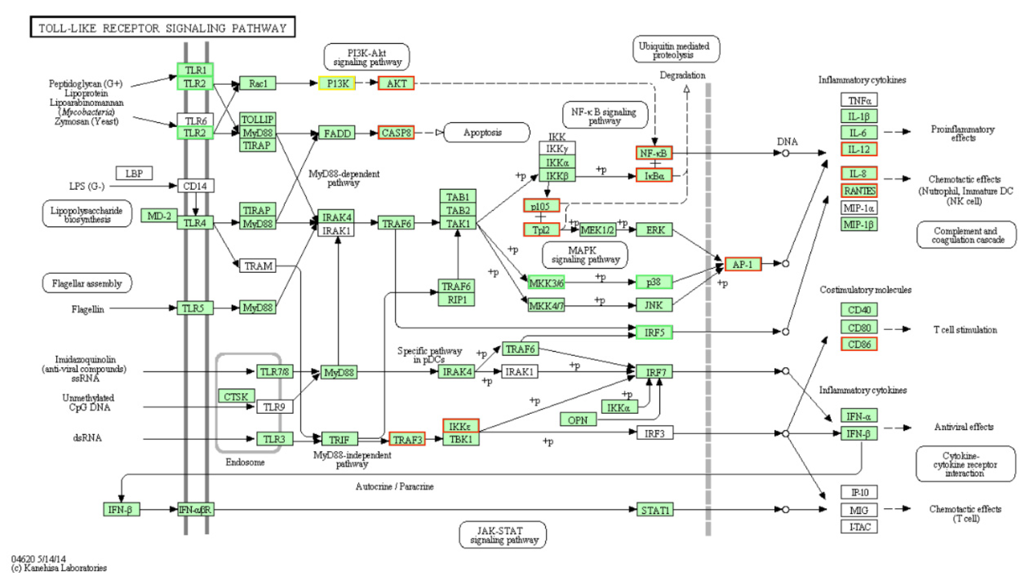Genes 12 00760 g005 Genes 12 00760 g005