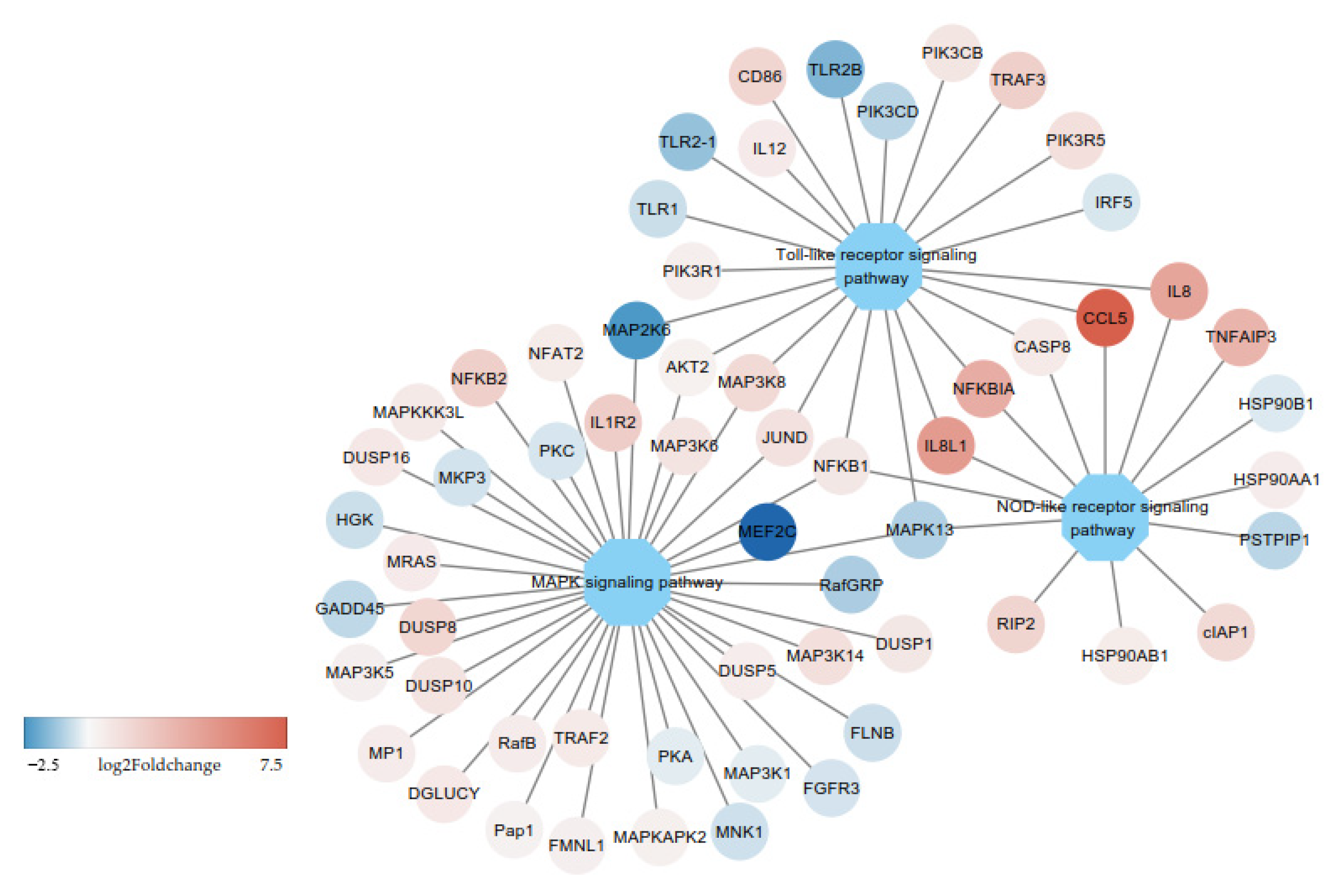 Genes 12 00760 g006 Genes 12 00760 g006