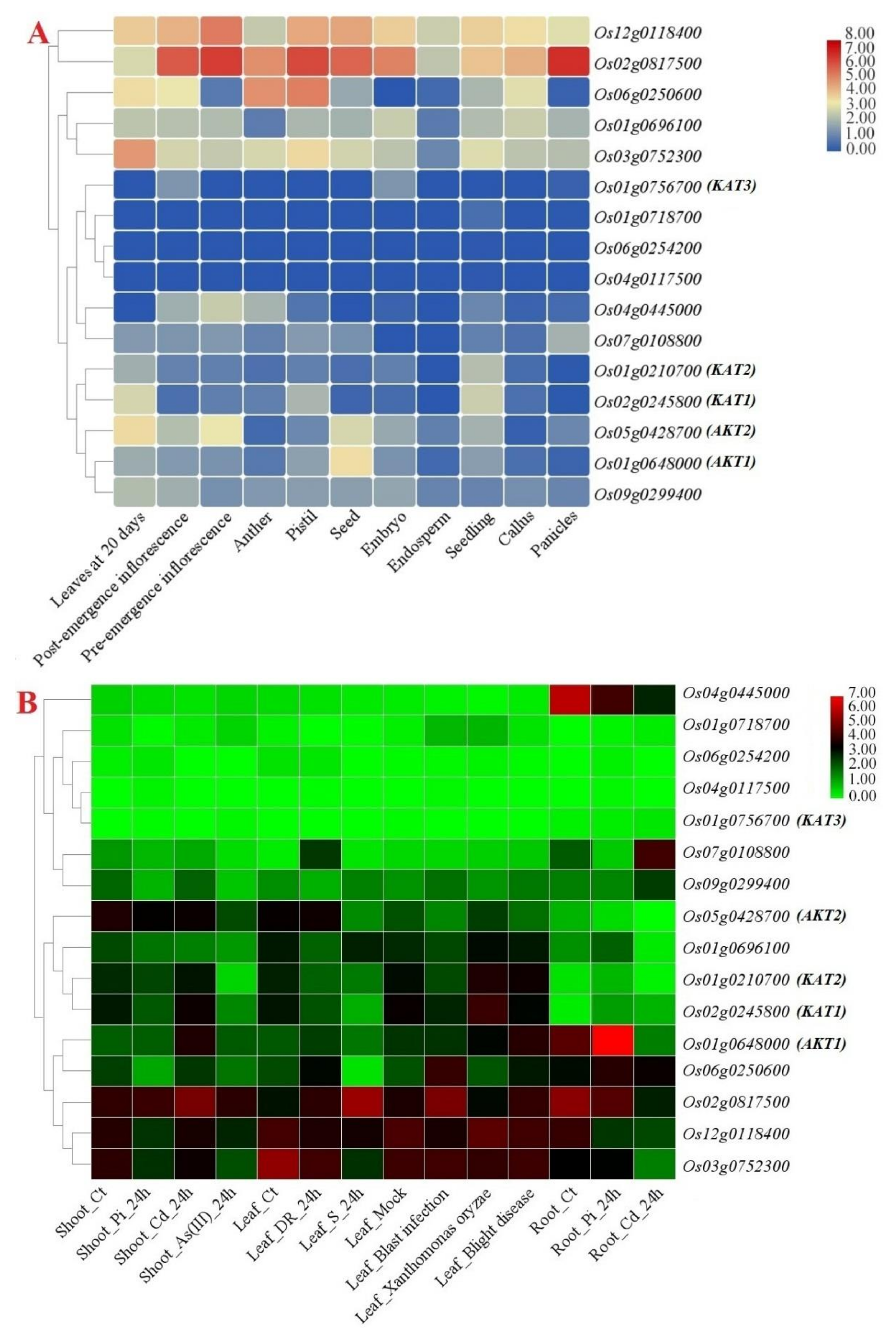 Genes 12 00784 g008 Genes 12 00784 g008