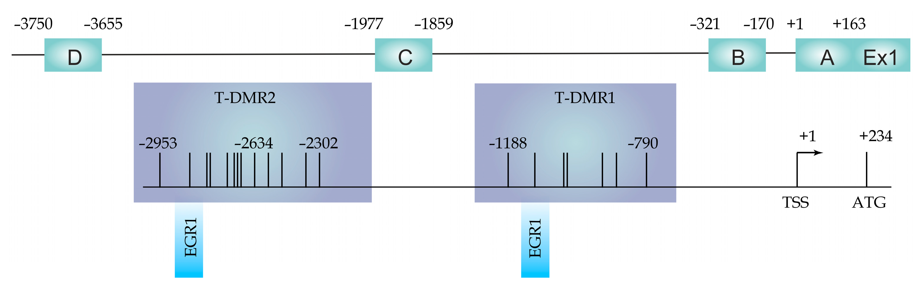 Genes 12 00790 g001 Genes 12 00790 g001