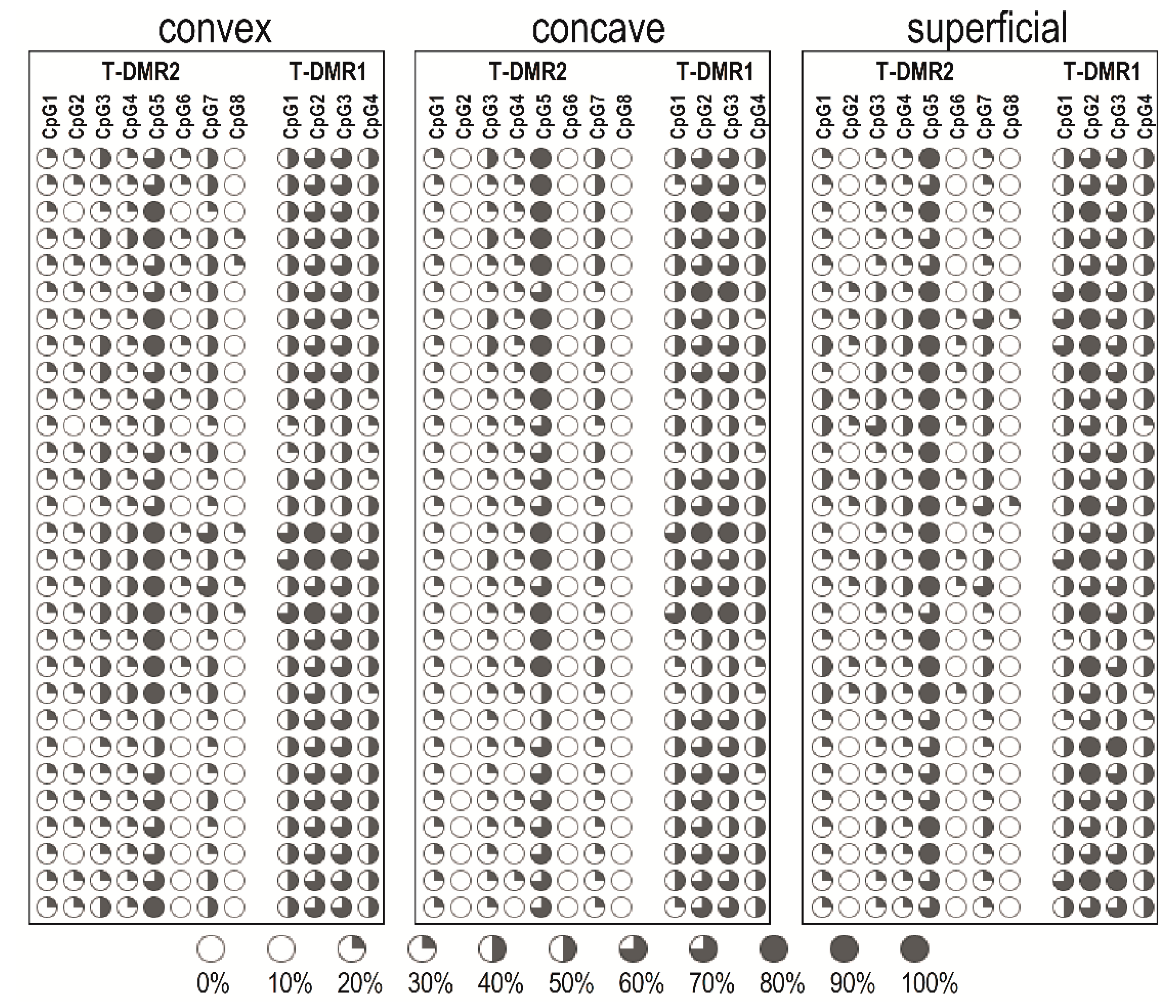 Genes 12 00790 g002 Genes 12 00790 g002