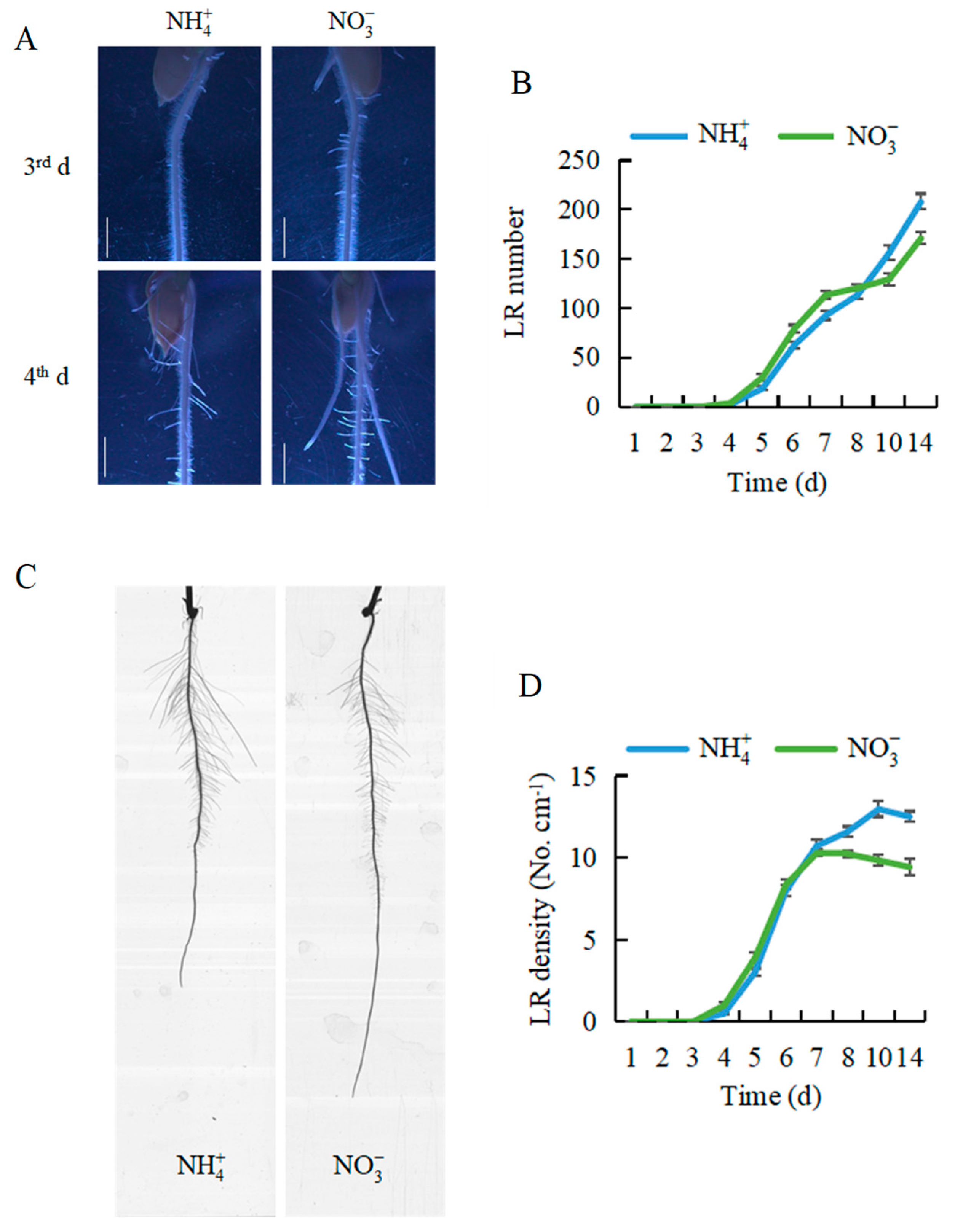 Genes 12 00850 g001