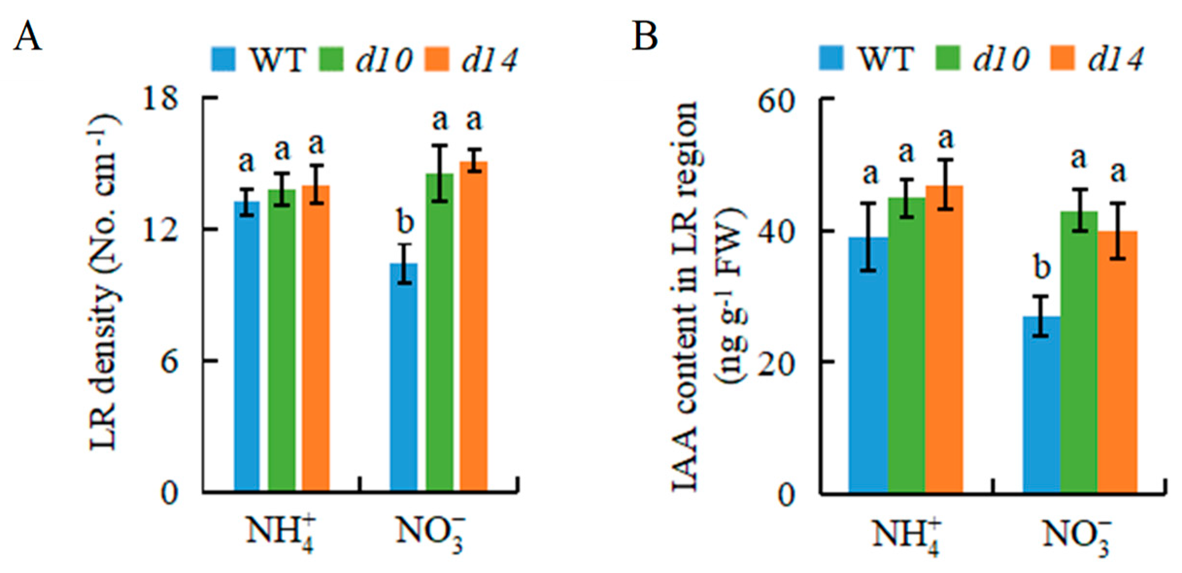 Genes 12 00850 g004