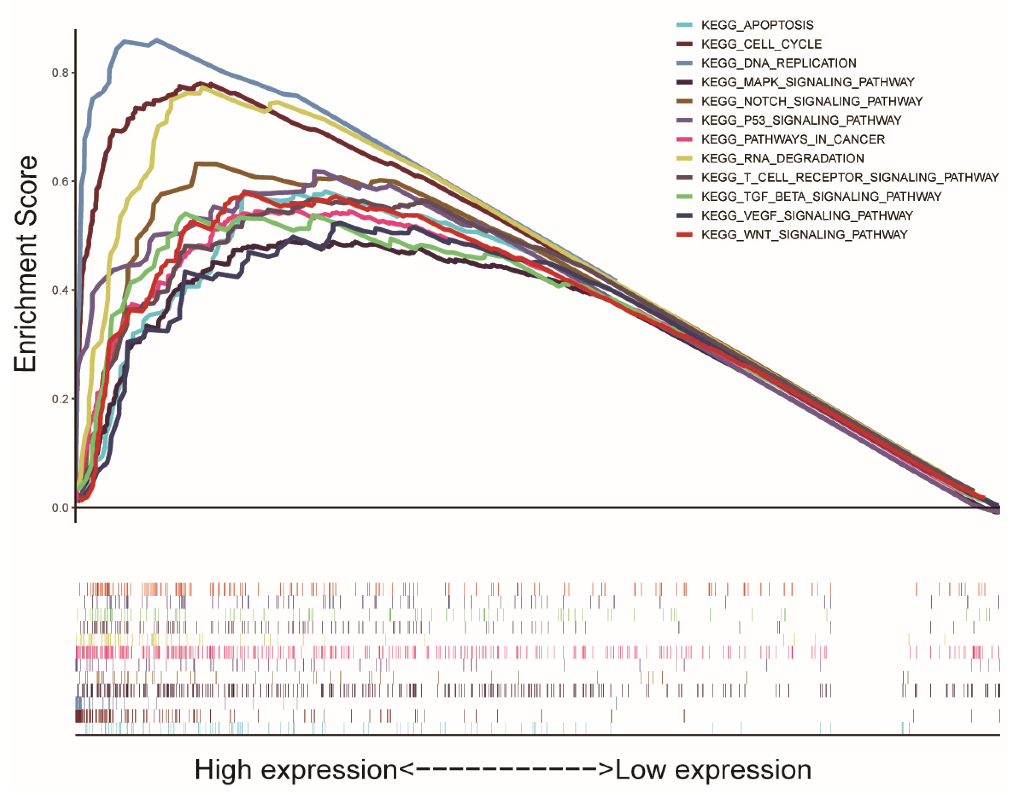 Genes 12 00876 g004