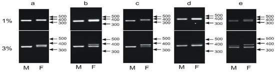 Genes Free Full Text New Bird Sexing Strategy Developed In The Order Psittaciformes Involves 2163