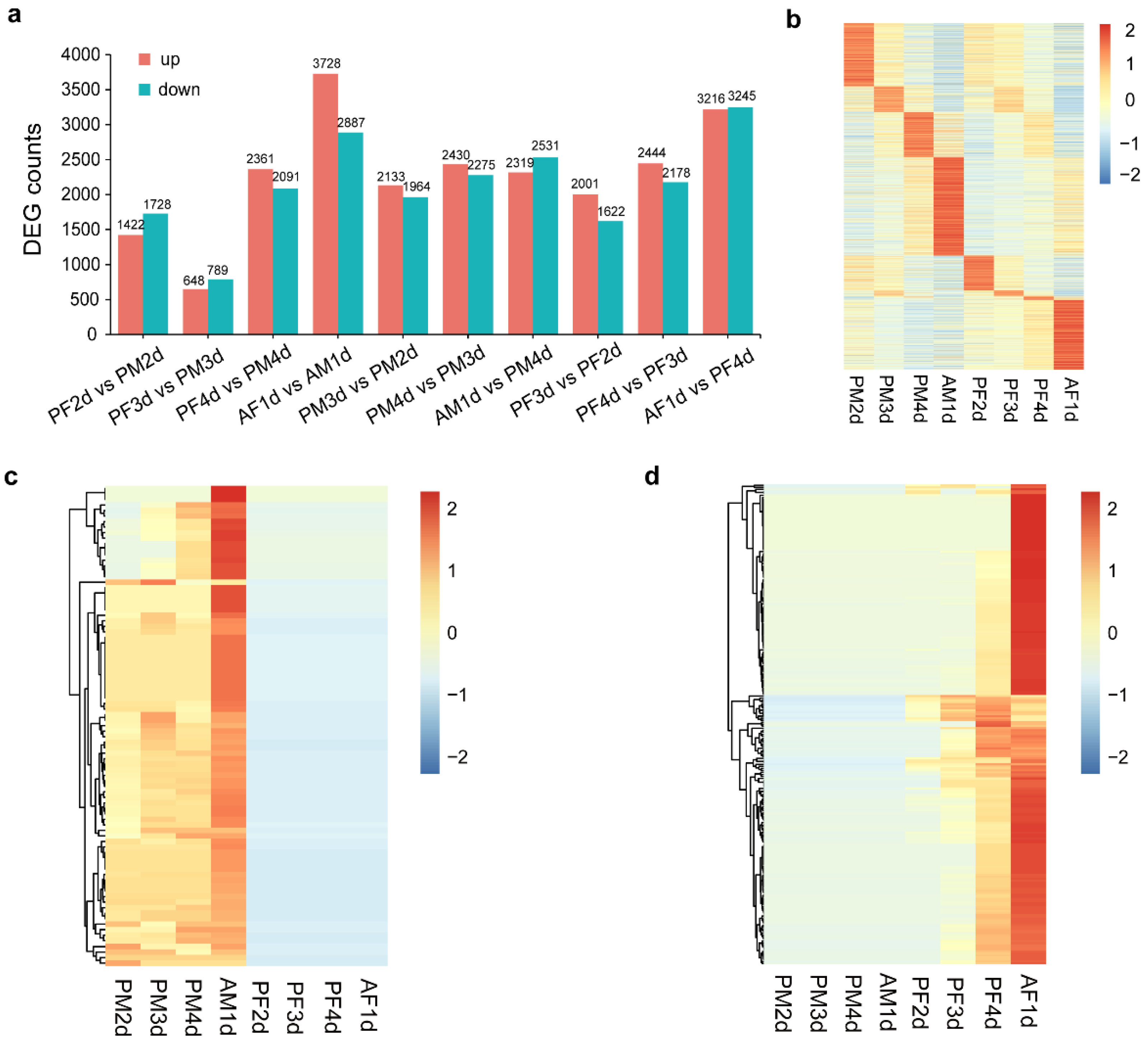 Genes | Free Full-Text | Comparative Transcriptome Analysis 