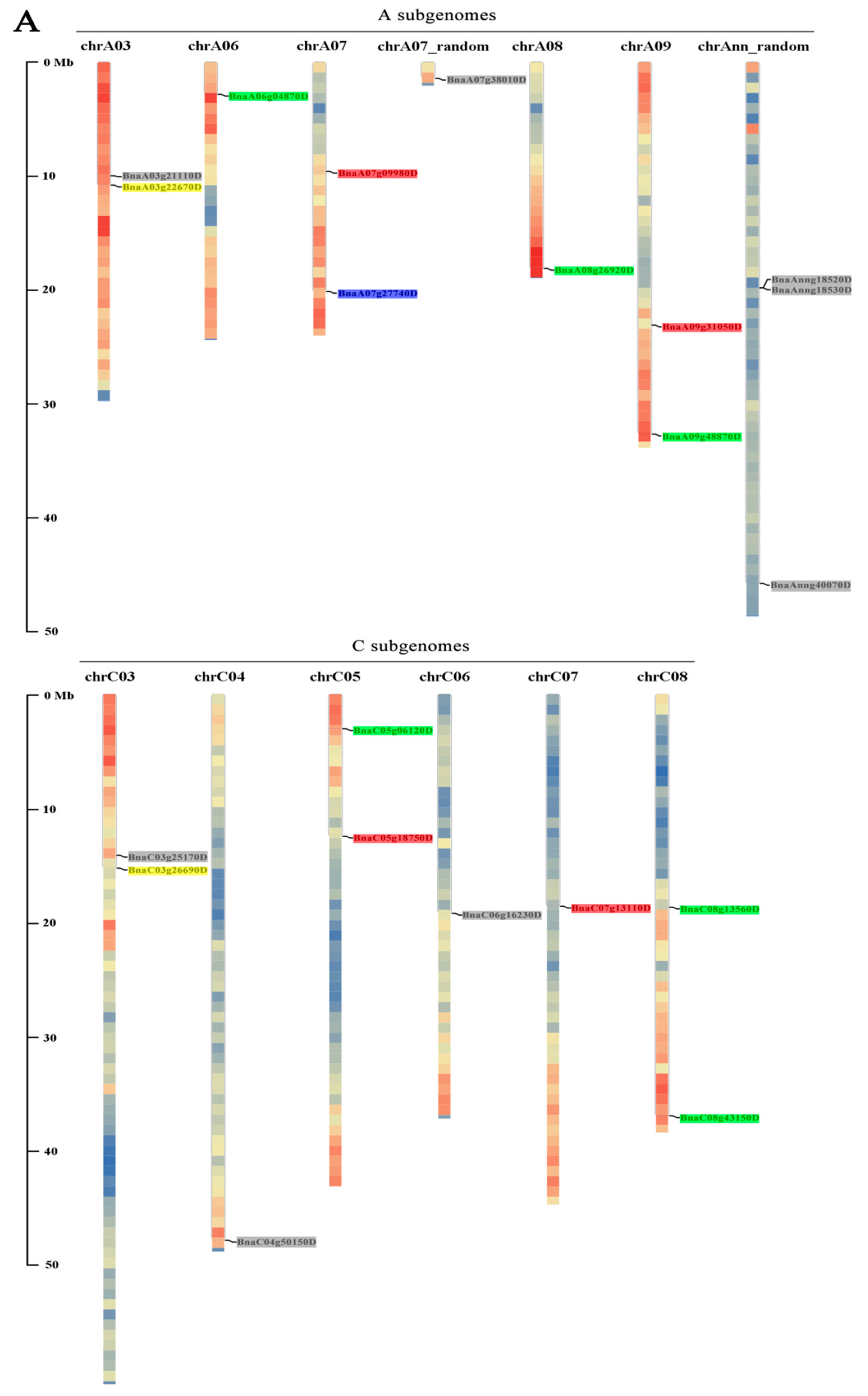 Genes 12 00981 g002a