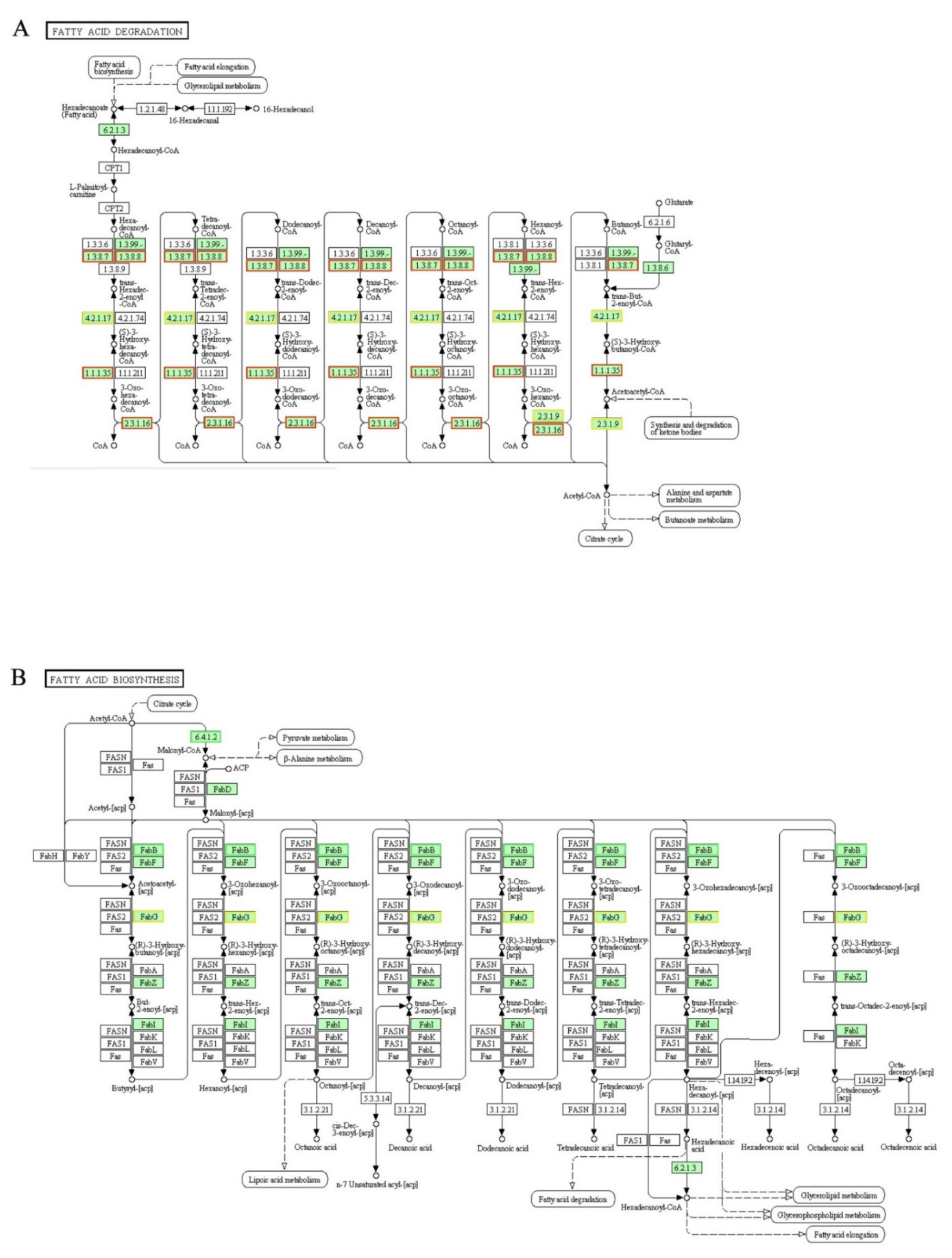 Genes 12 01003 g009
