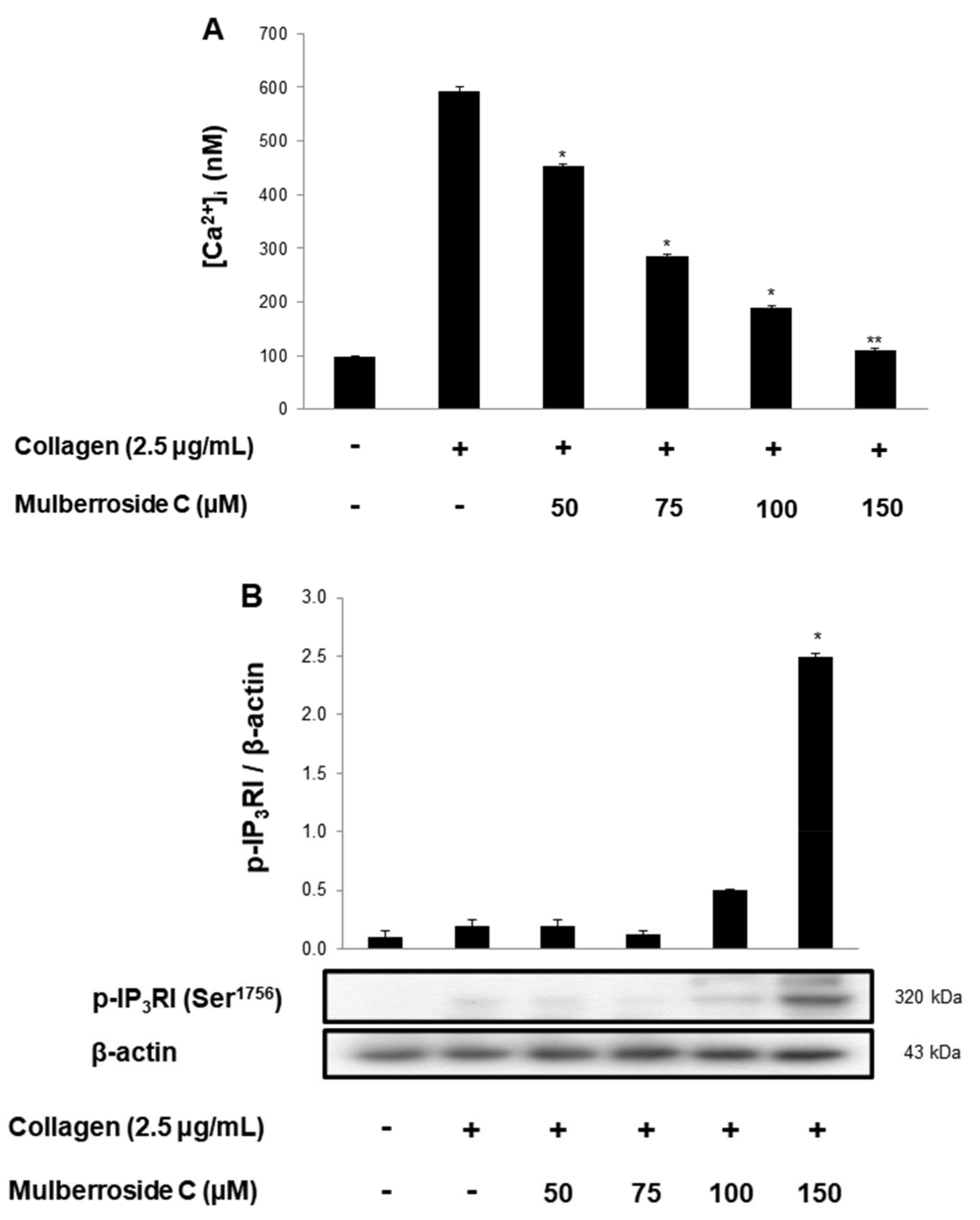 Genes 12 01024 g003a