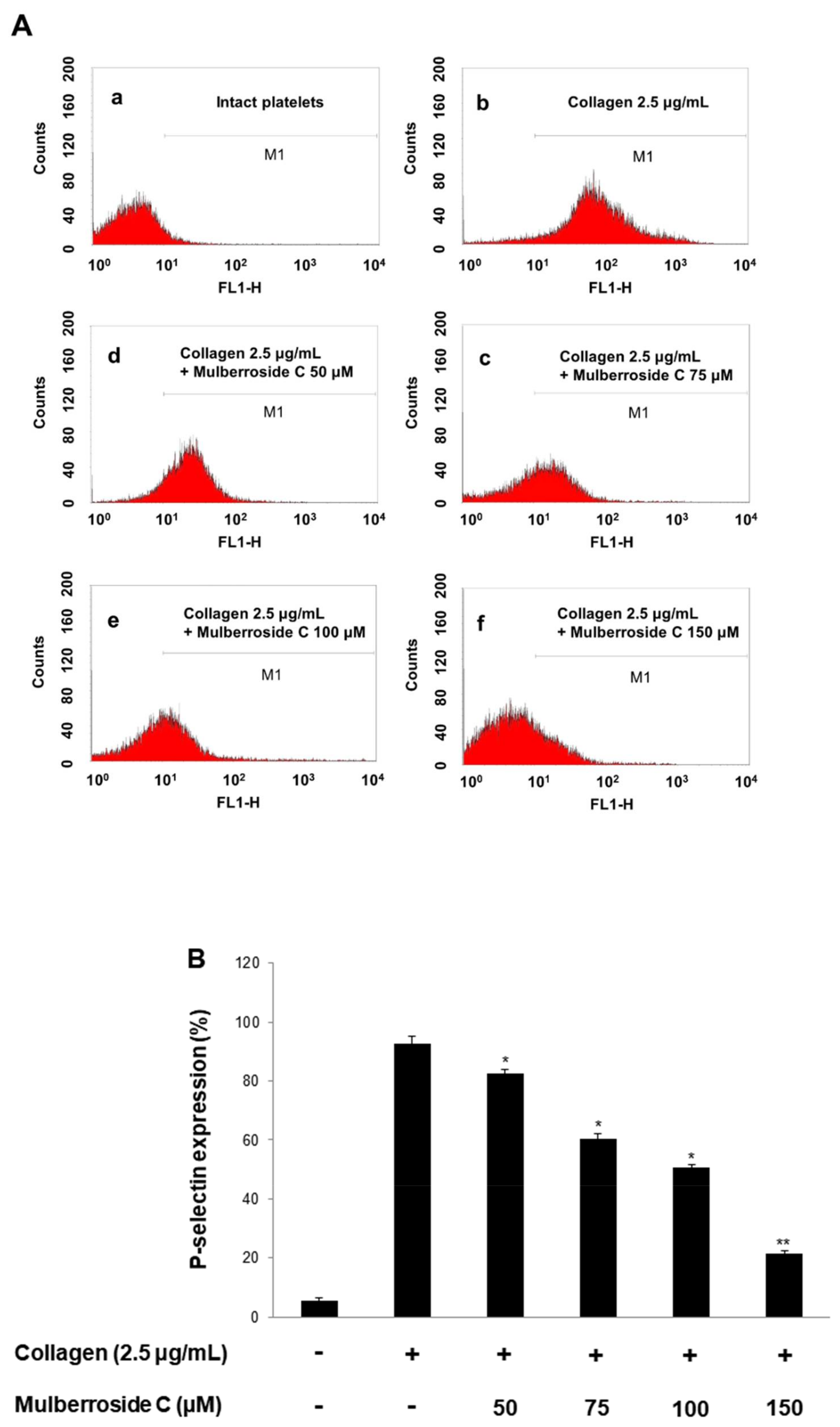 Genes 12 01024 g004a