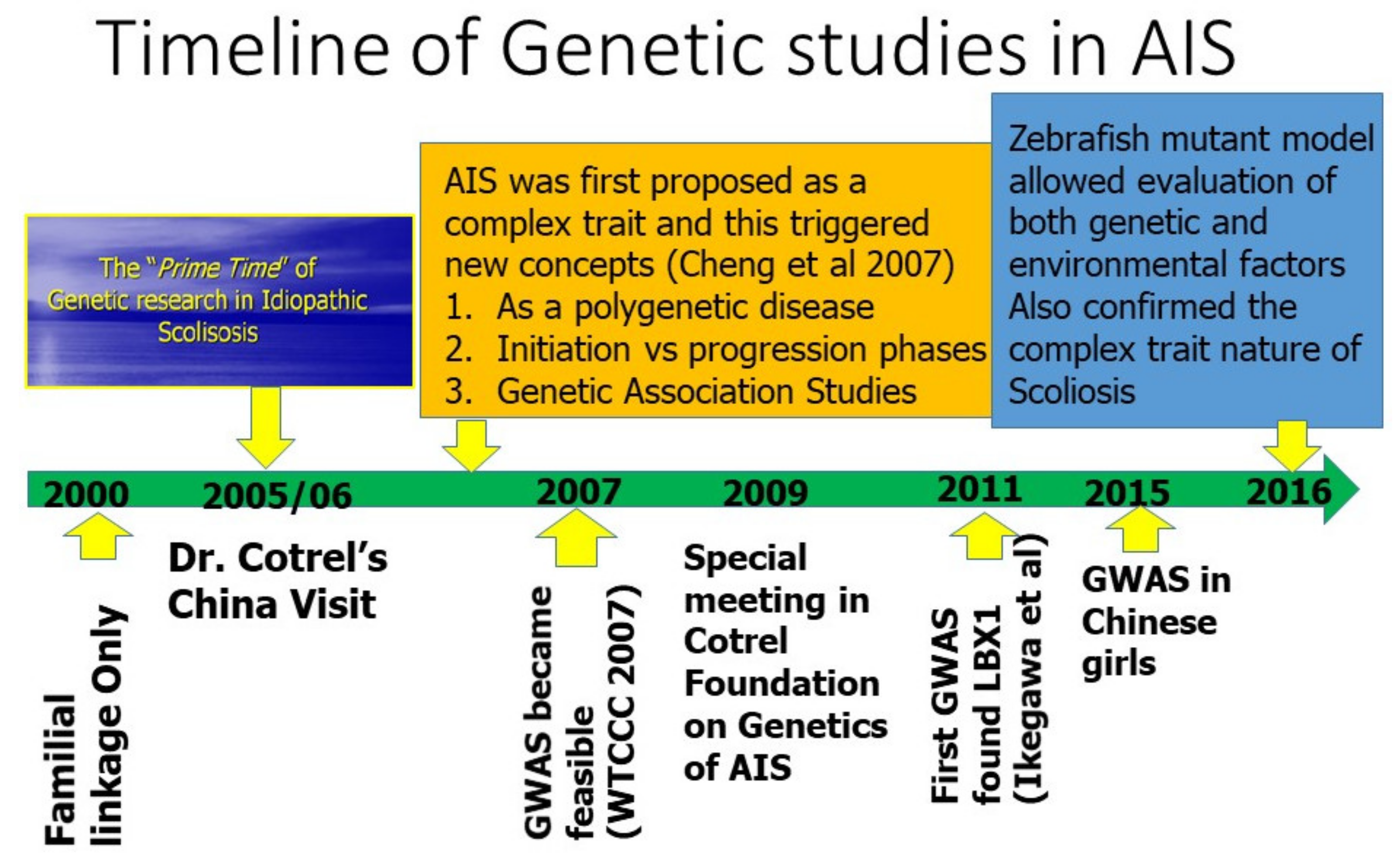 Genes 12 01033 g003