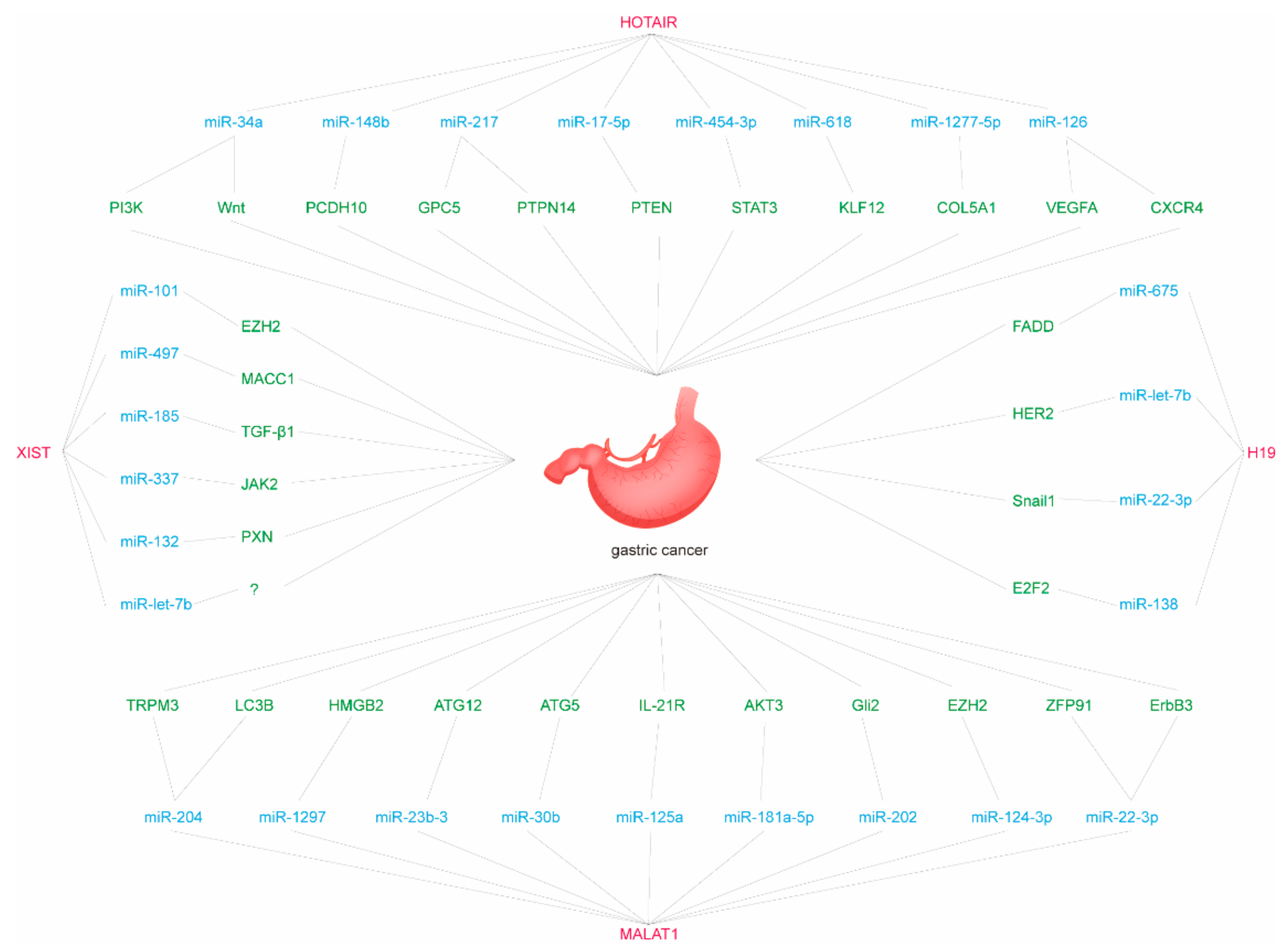 Genes 12 01036 g001 Genes 12 01036 g001