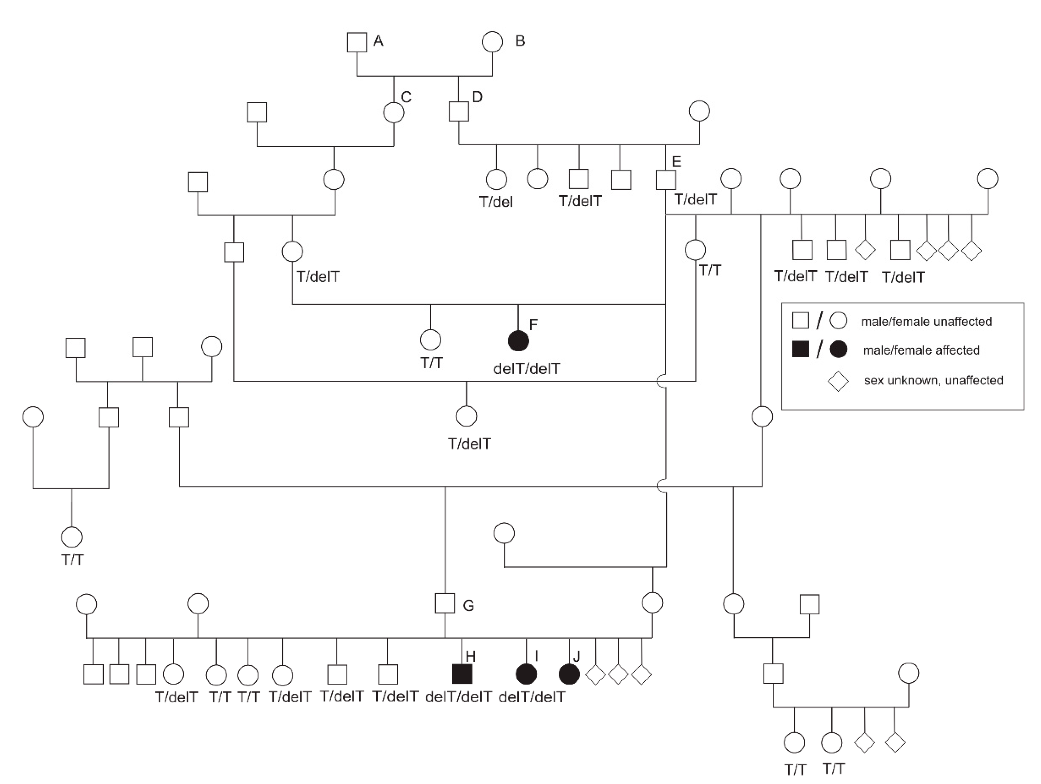 Genes Free Full Text An Fga Frameshift Variant Associated With Afibrinogenemia In Dachshunds Html