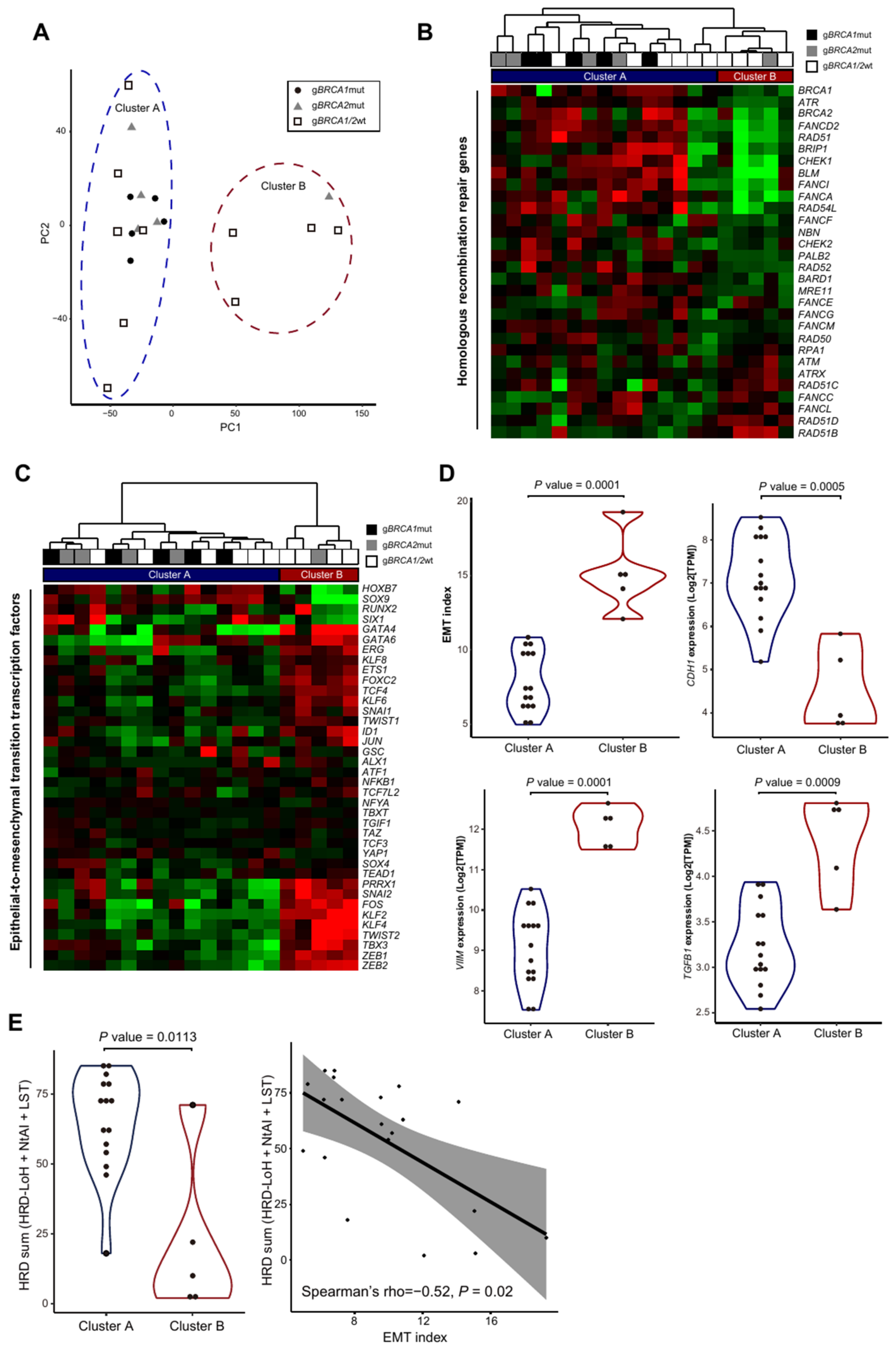 Genes 12 01103 g003