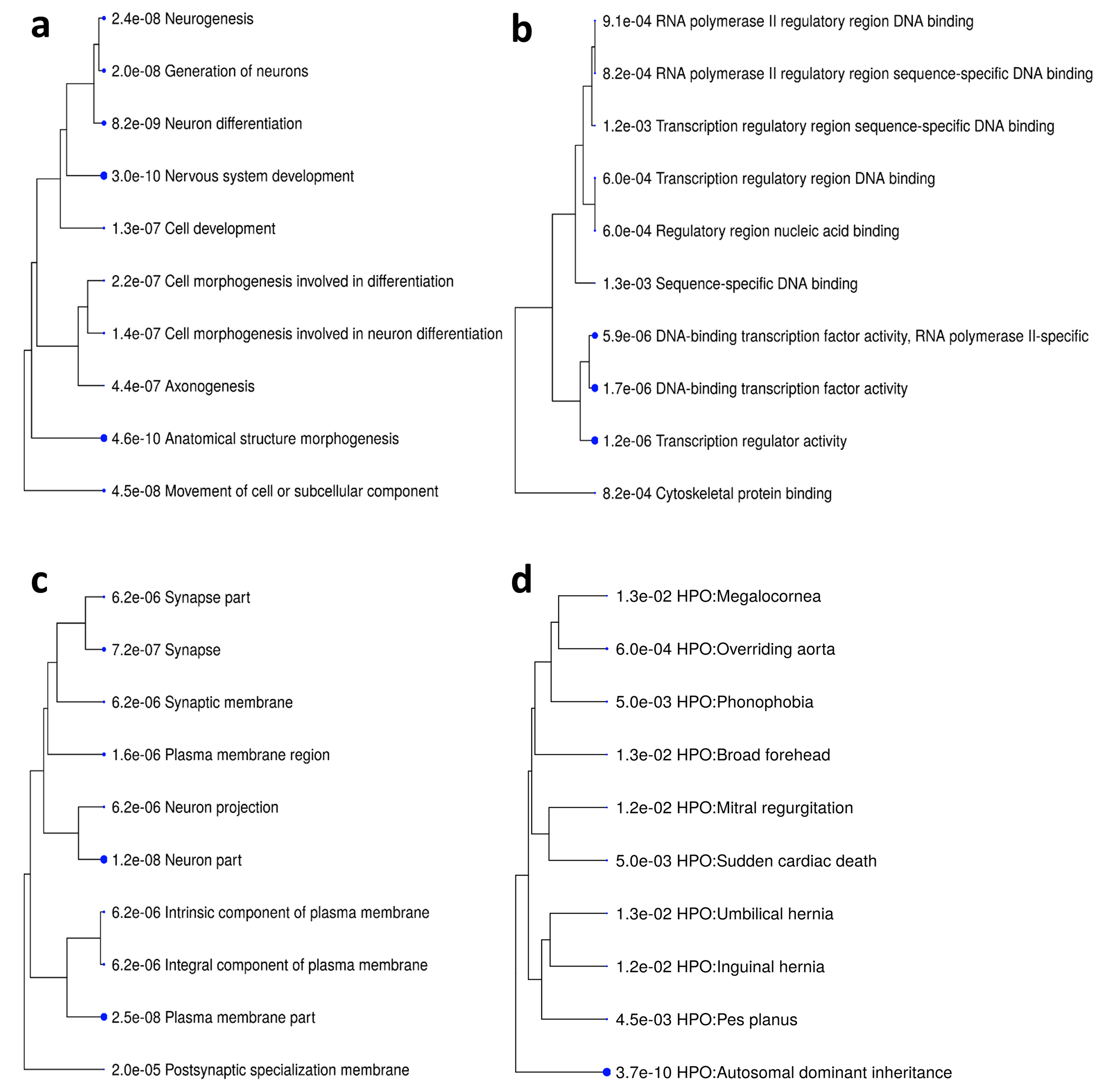 Genes 12 01115 g005