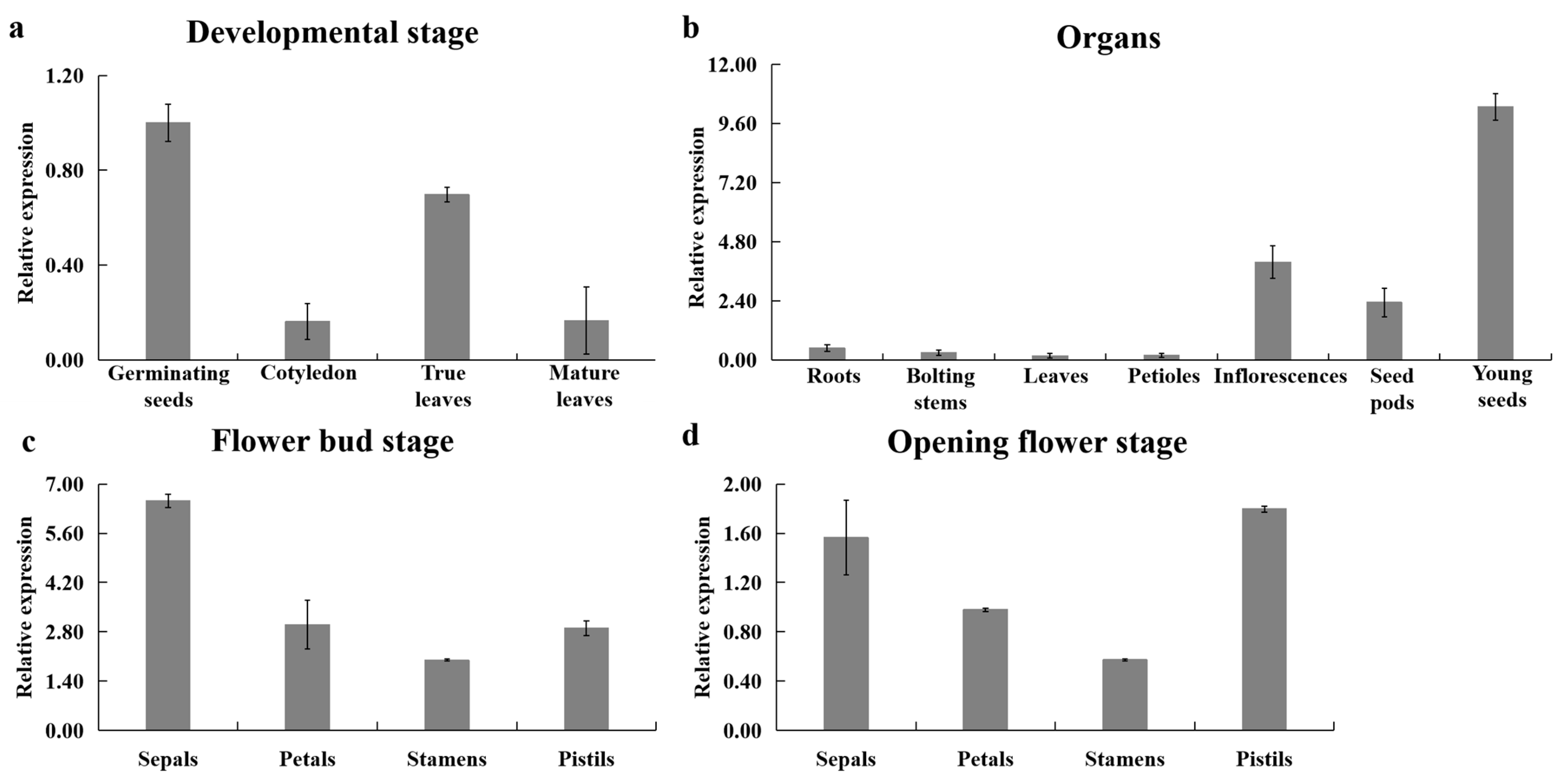 Genes 12 01122 g002