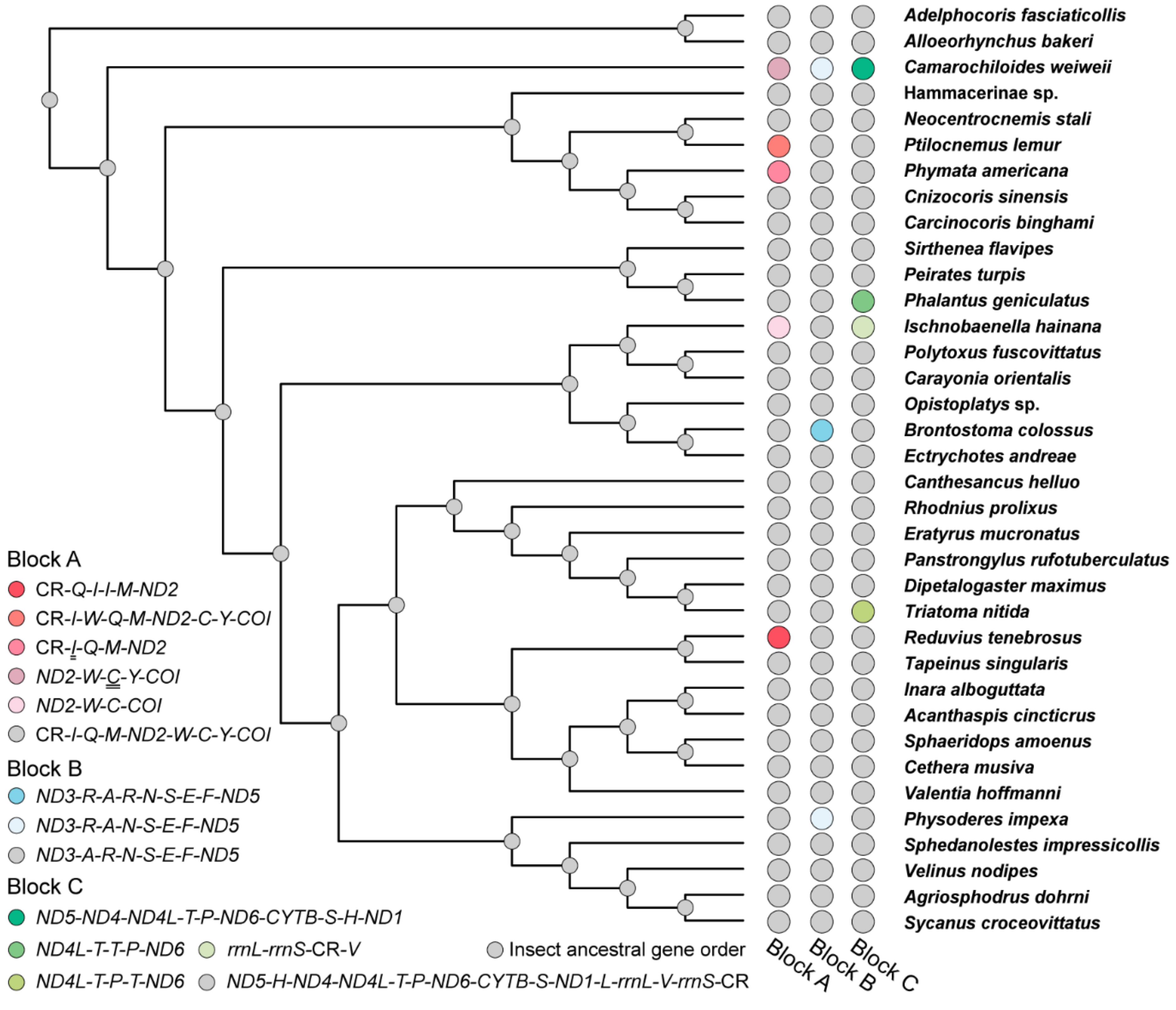 Genes 12 01134 g003