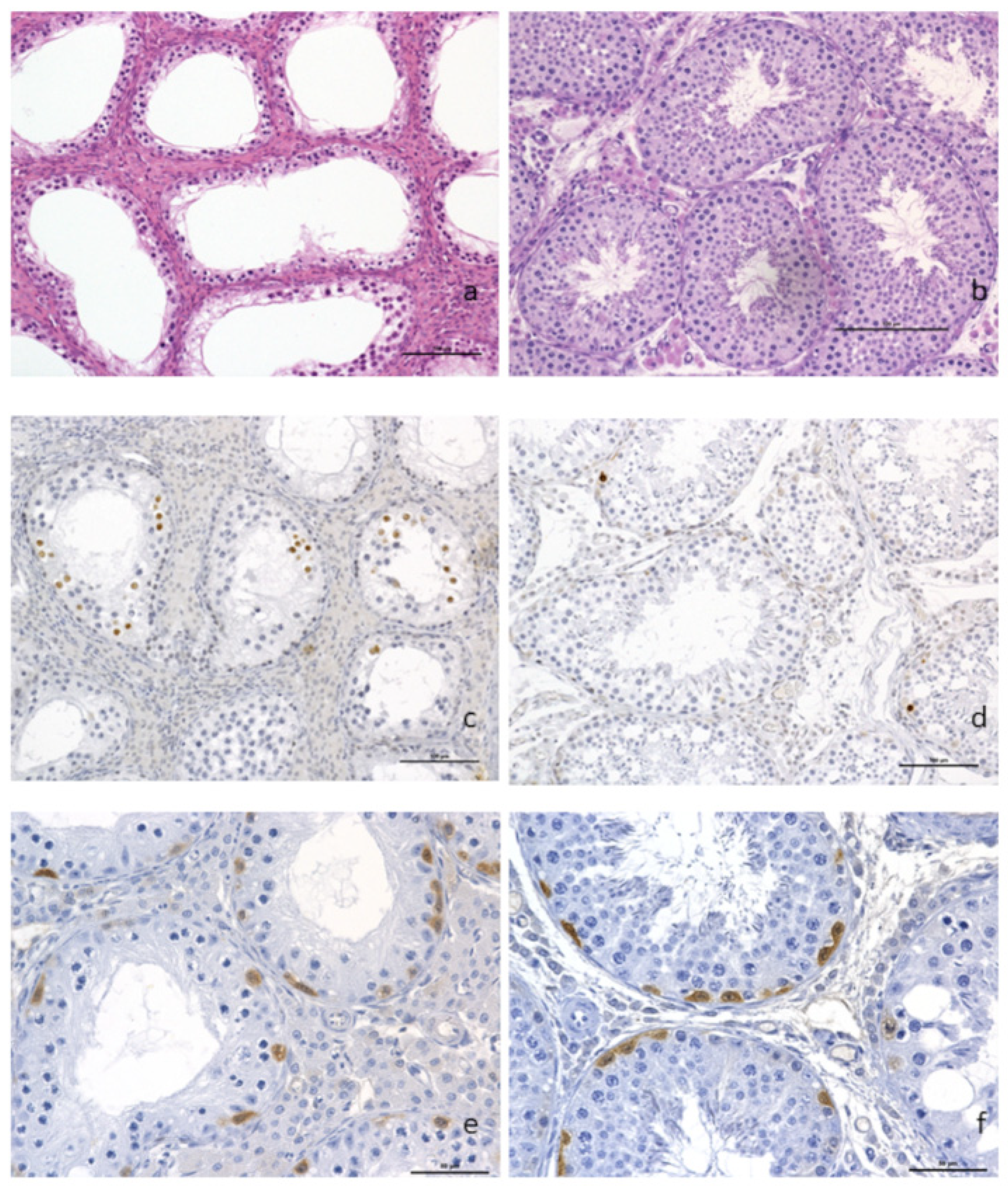 Genes 12 01137 g002 Genes 12 01137 g002