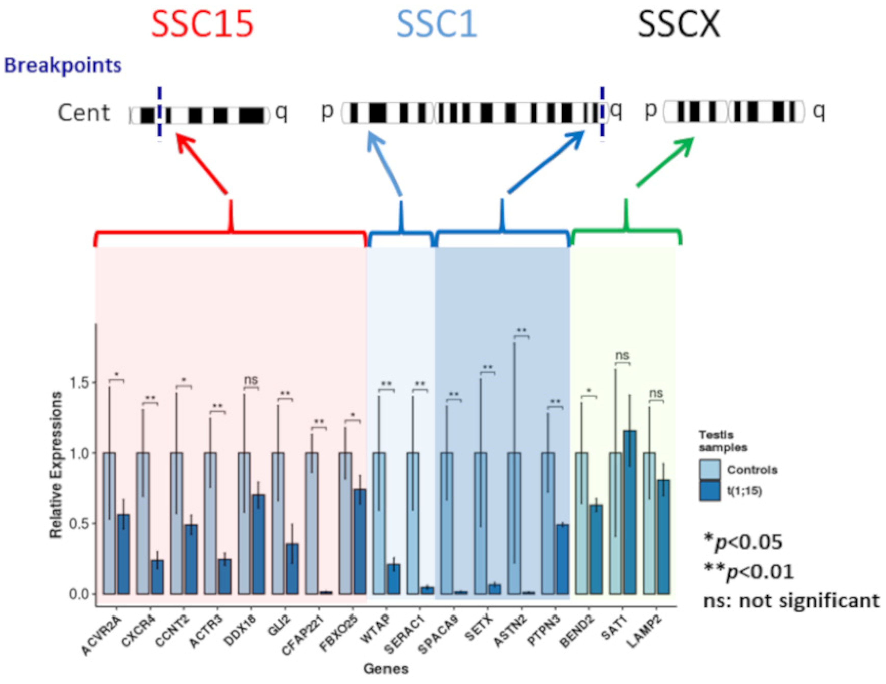 Genes 12 01137 g004 Genes 12 01137 g004