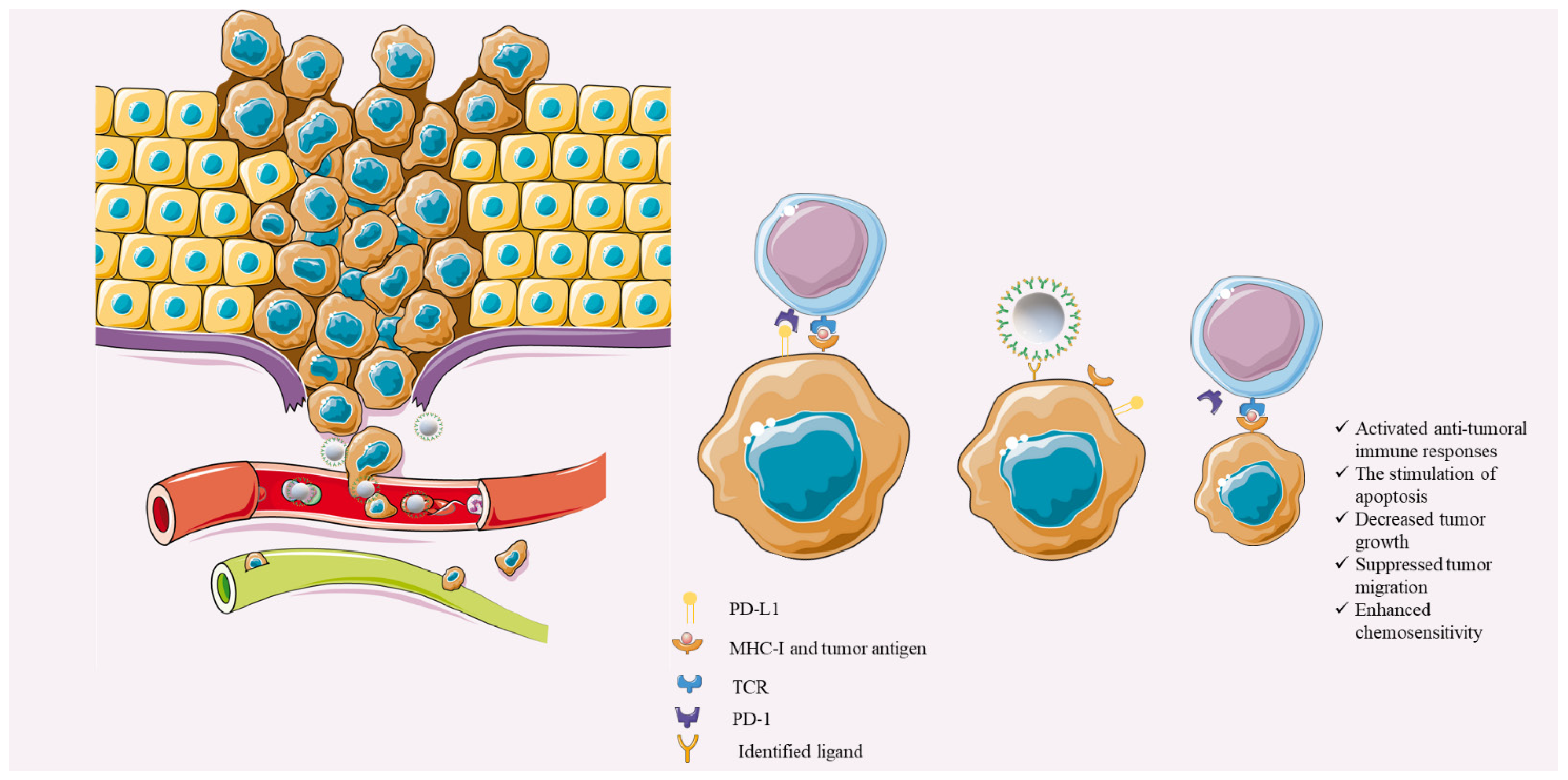 Genes 12 01206 g003