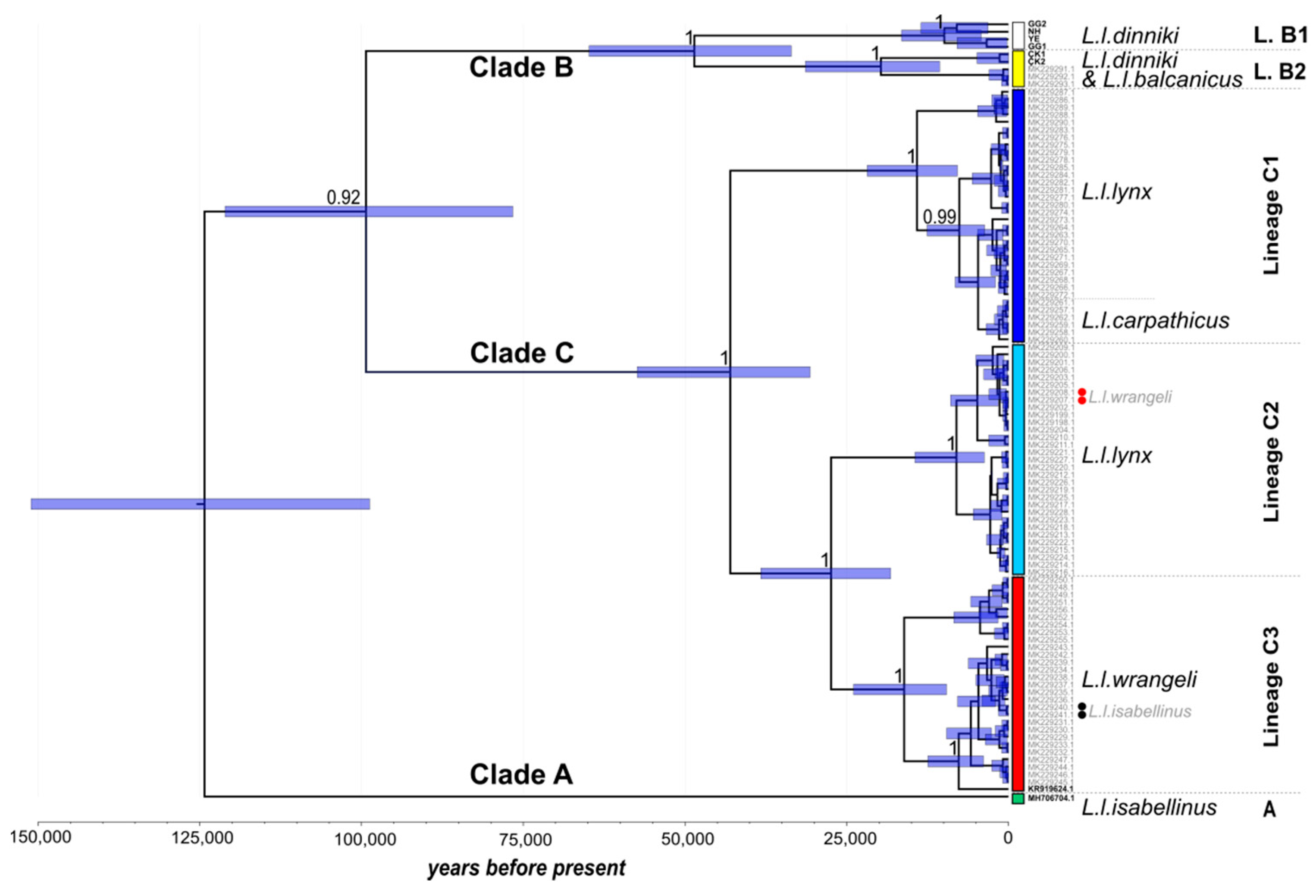 Genes 12 01216 g002 Genes 12 01216 g002