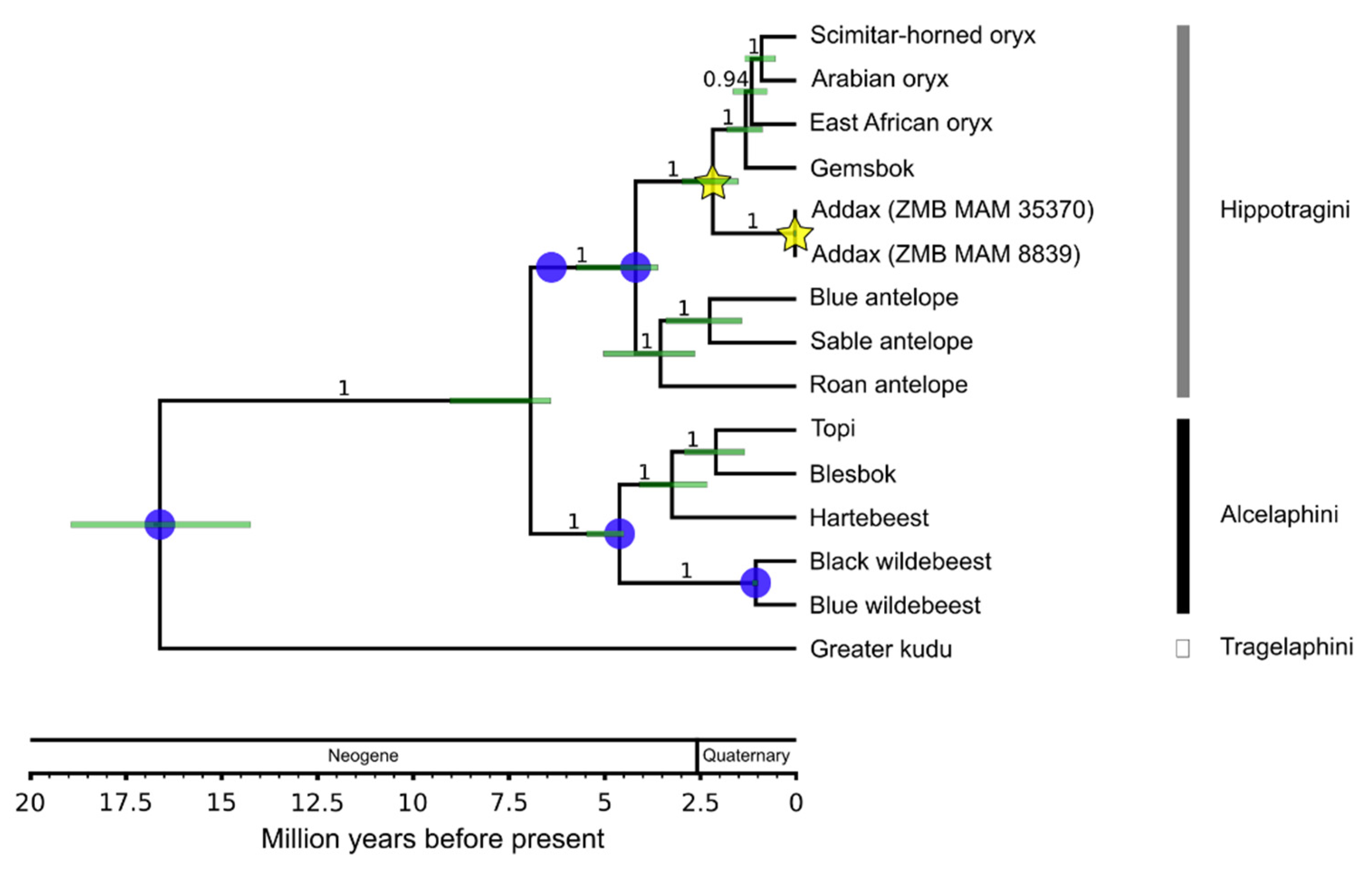 Genes 12 01236 g004 Genes 12 01236 g004