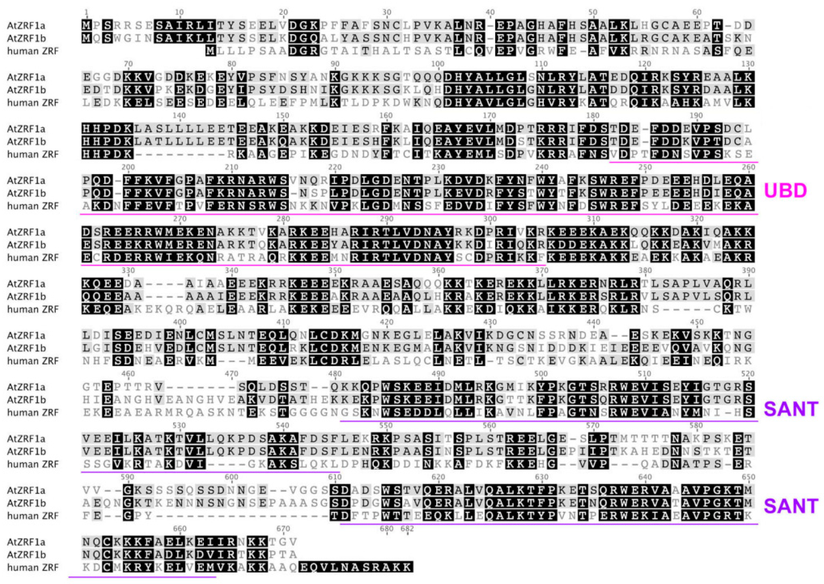 Genes 12 01245 g002 Genes 12 01245 g002