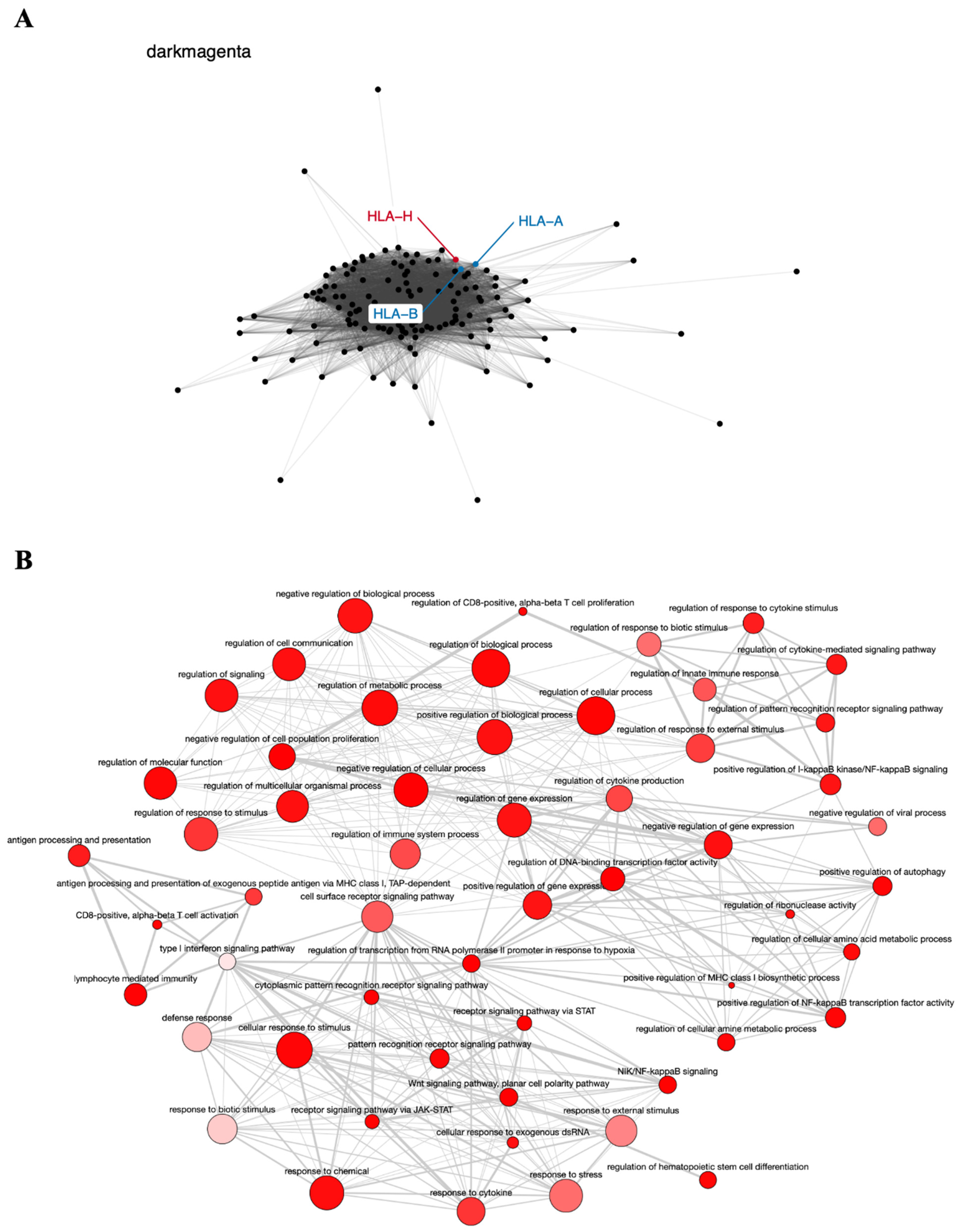 Genes 12 01254 g004 Genes 12 01254 g004