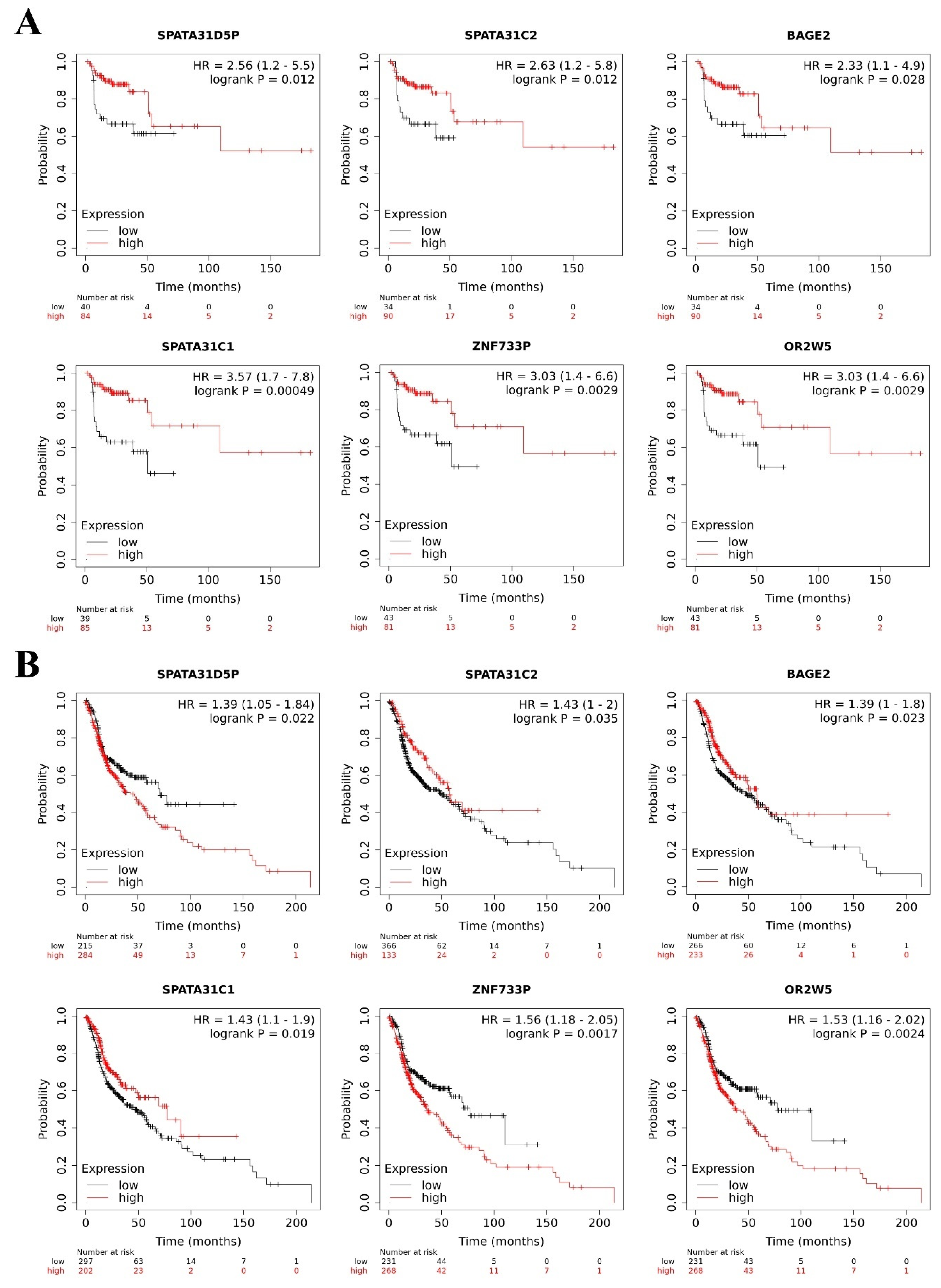 Genes 12 01254 g005 Genes 12 01254 g005