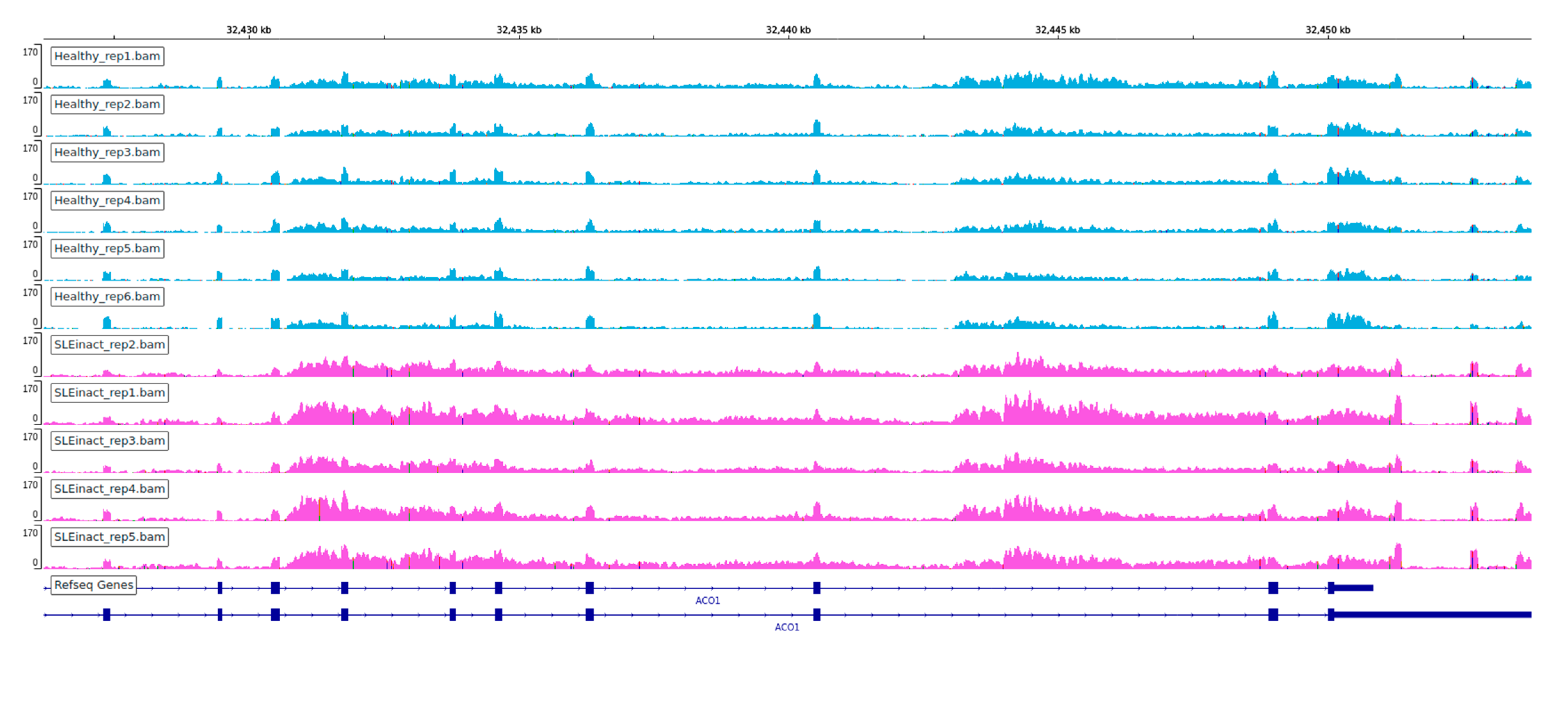 Genes 12 01260 g008a