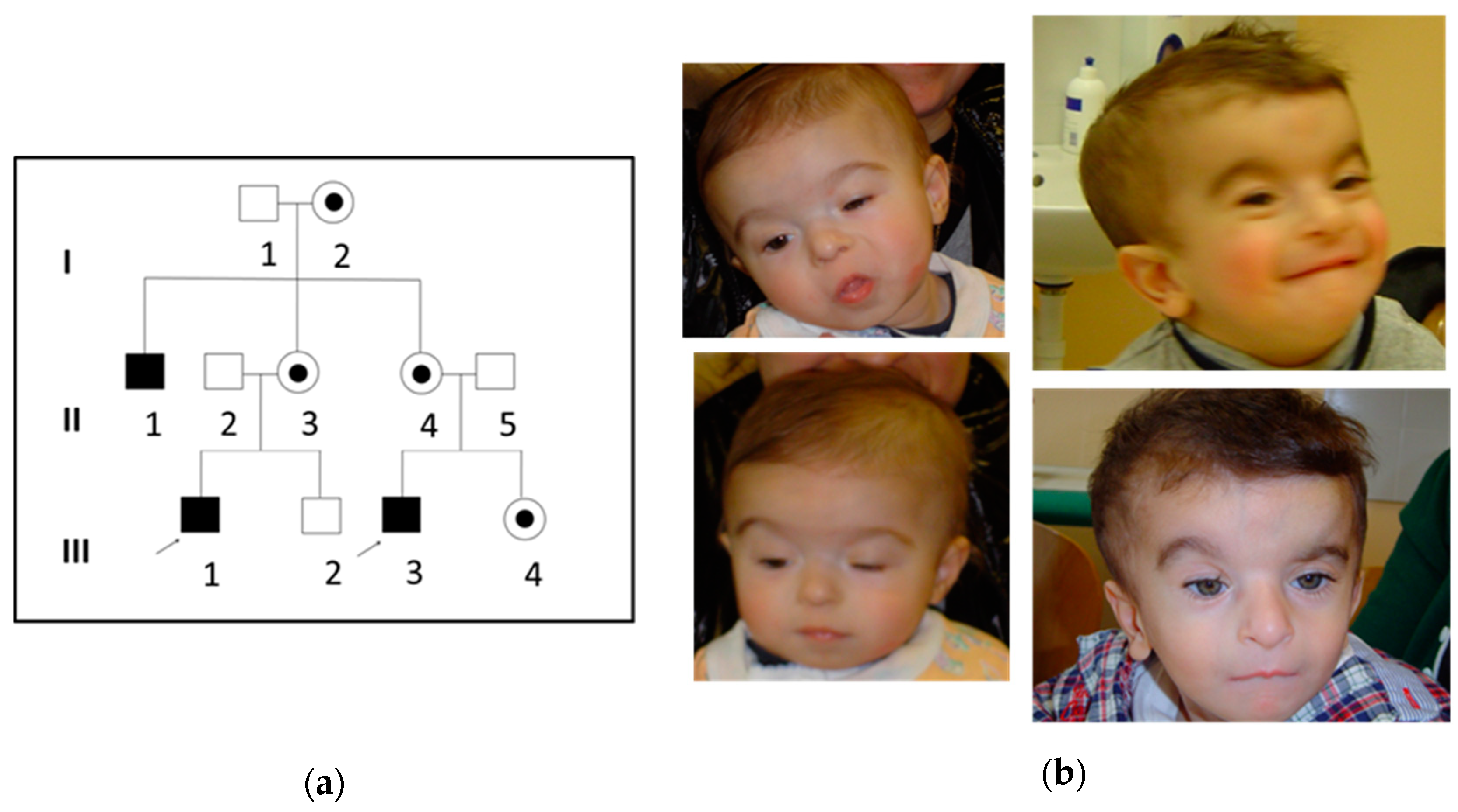 Genes 12 01328 g001