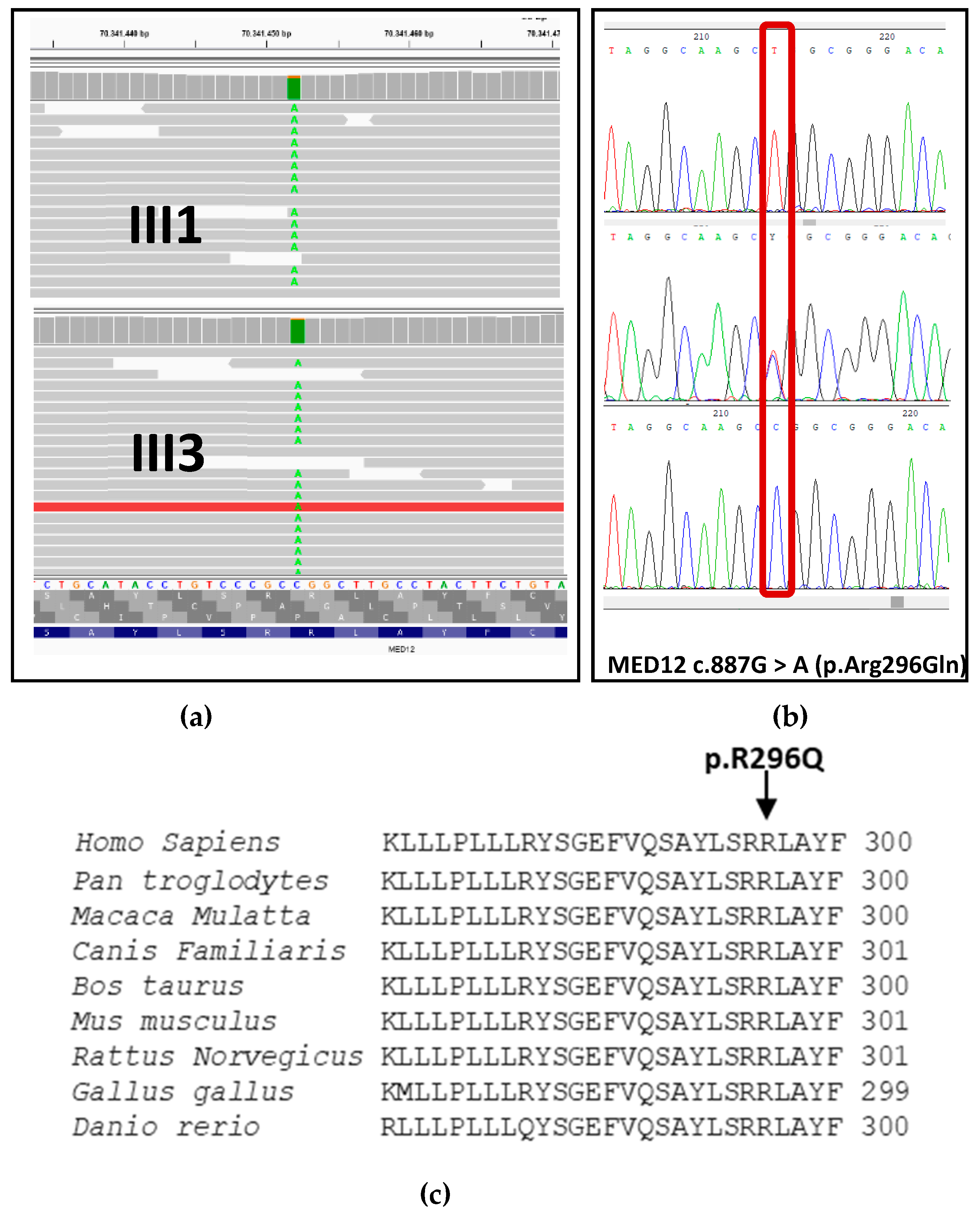 Genes 12 01328 g002