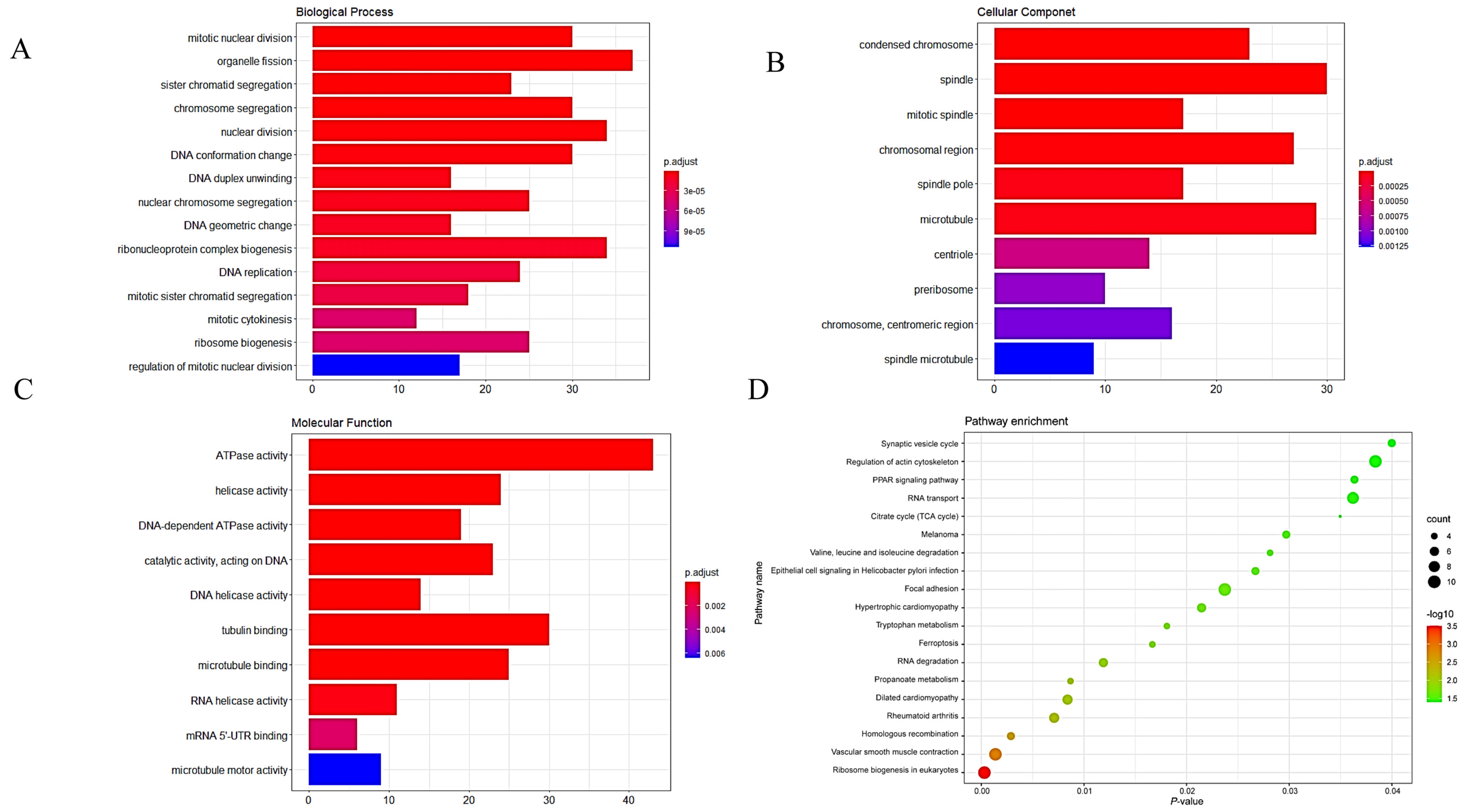 Genes 12 01339 g003