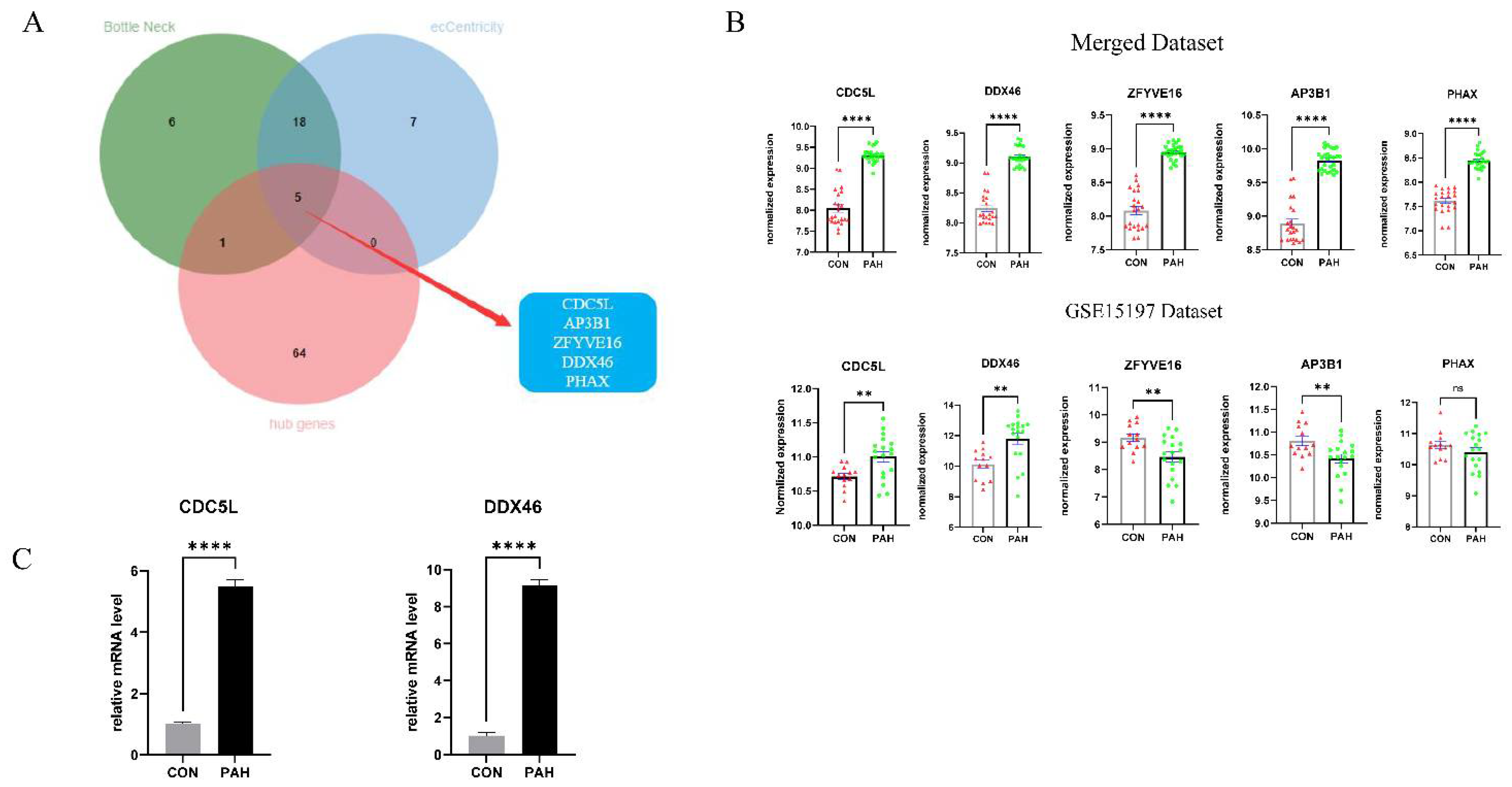 Genes 12 01339 g007