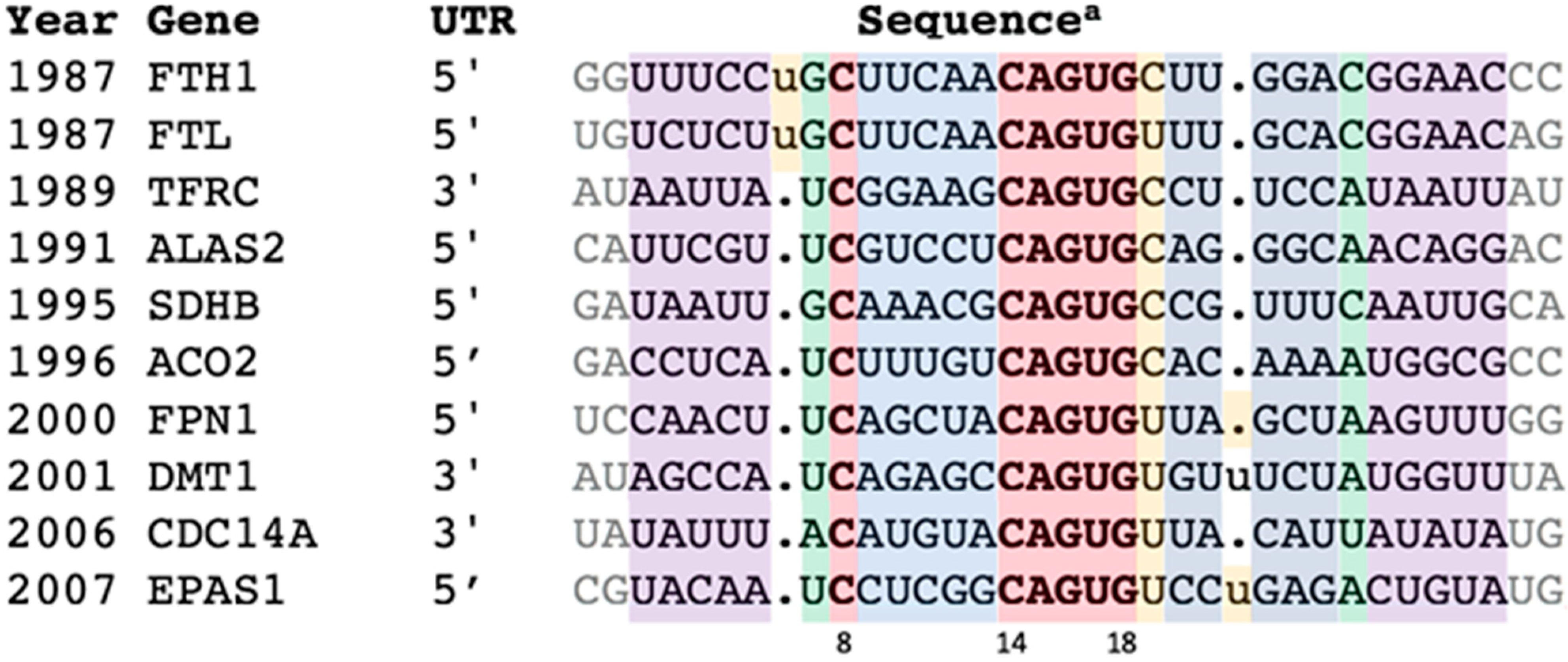 Genes 12 01365 g001 Genes 12 01365 g001