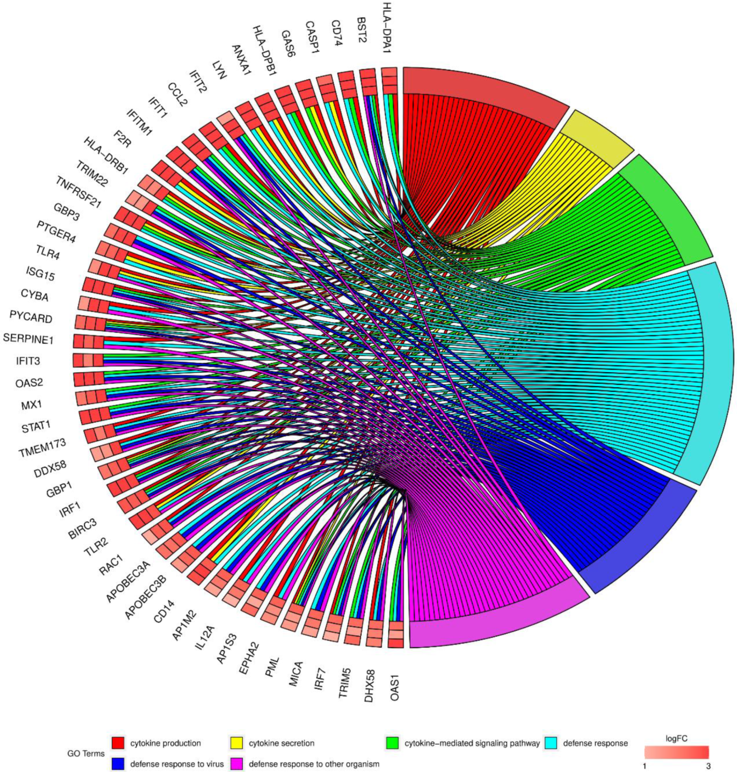 Genes 12 01369 g004 Genes 12 01369 g004