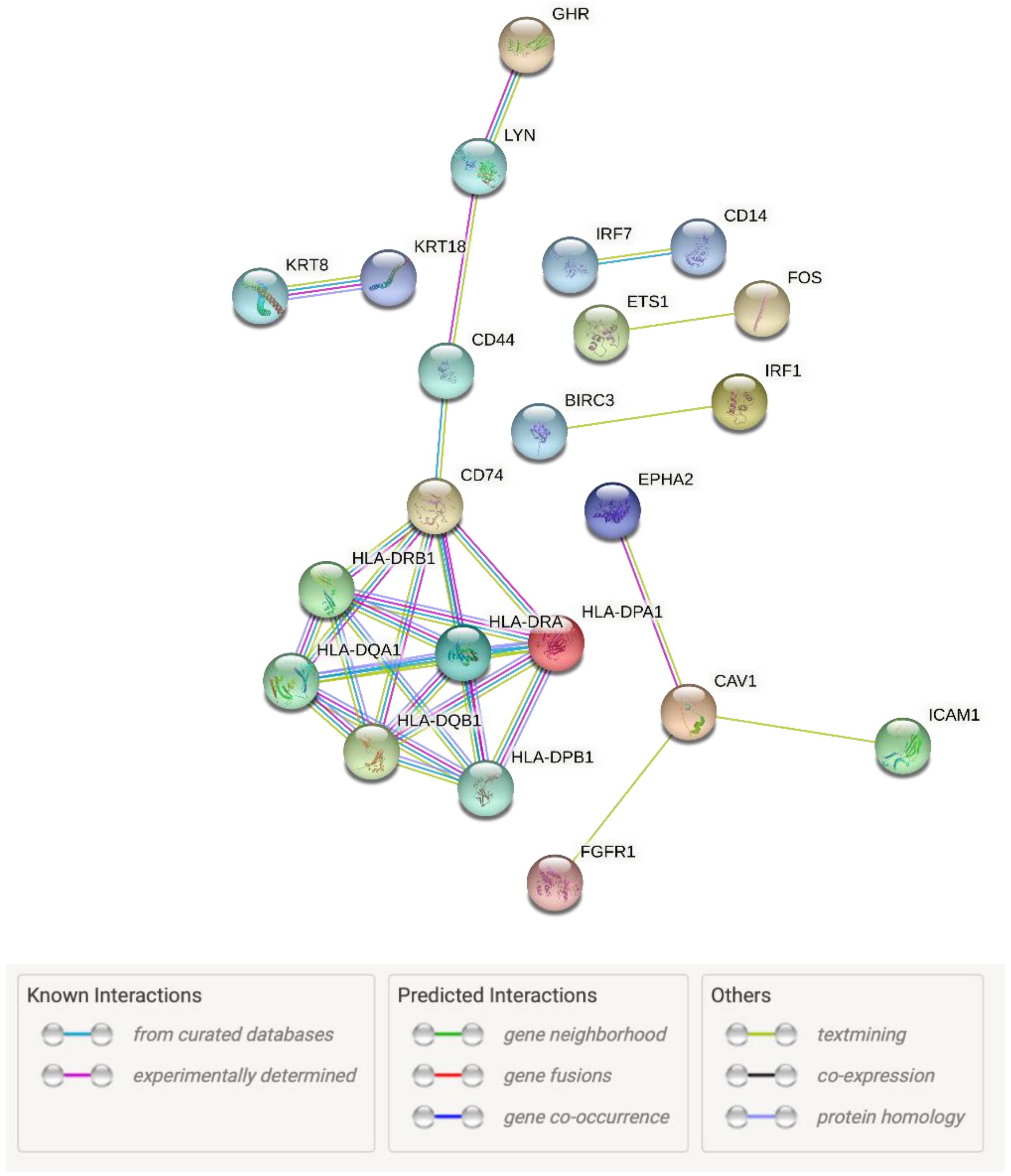 Genes 12 01369 g006 Genes 12 01369 g006