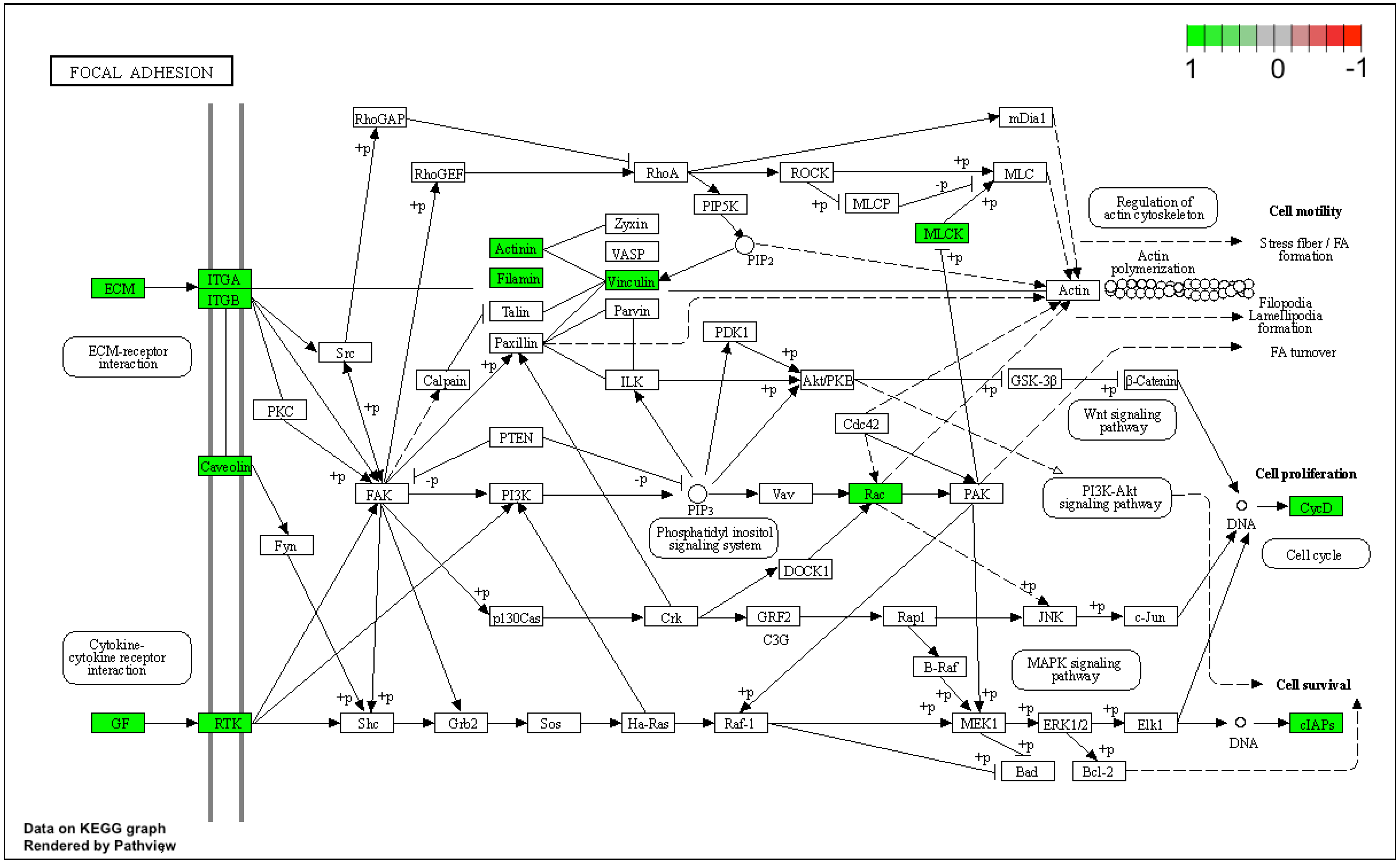 Genes 12 01369 g008 Genes 12 01369 g008