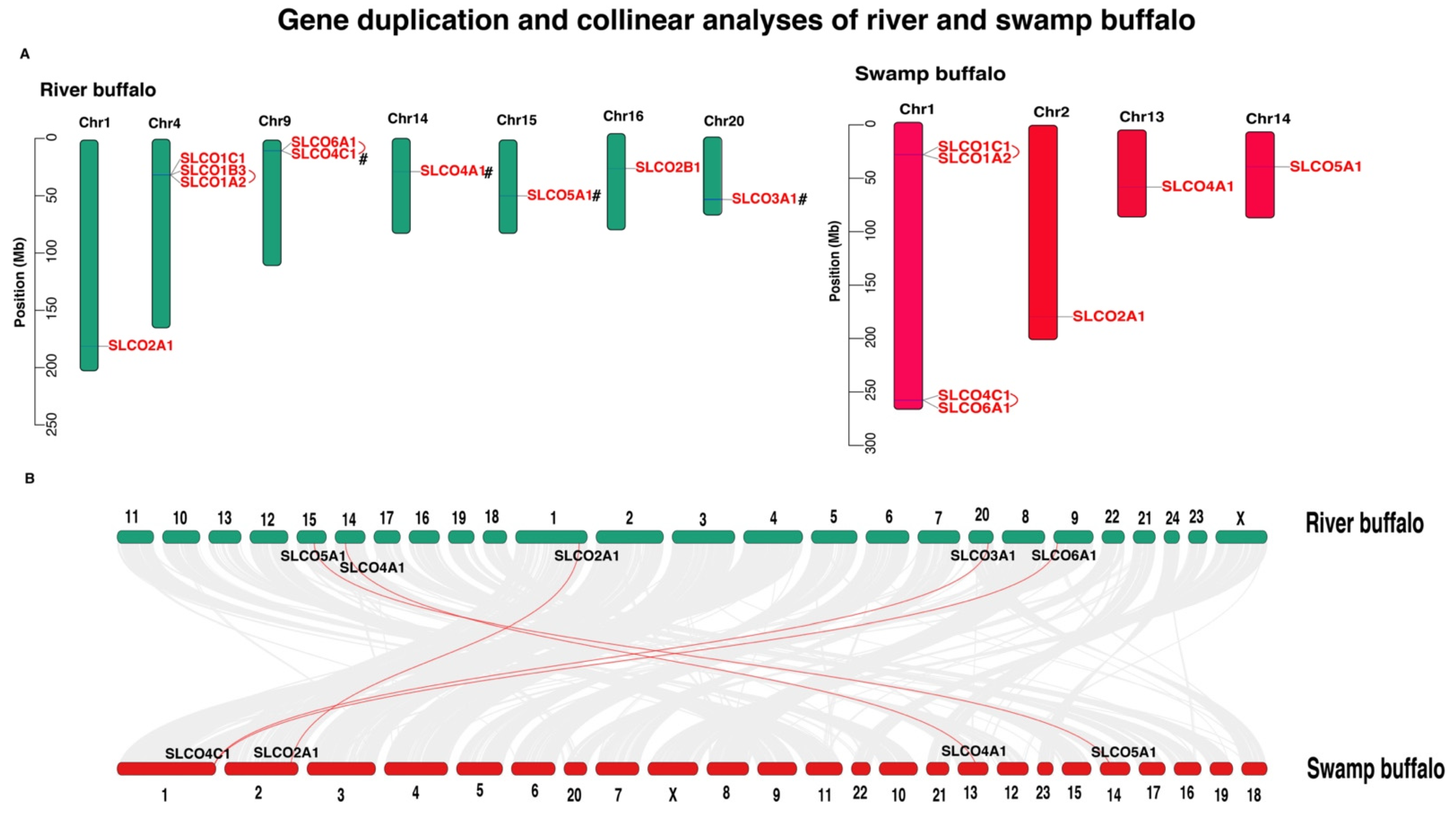 Genes 12 01394 g002