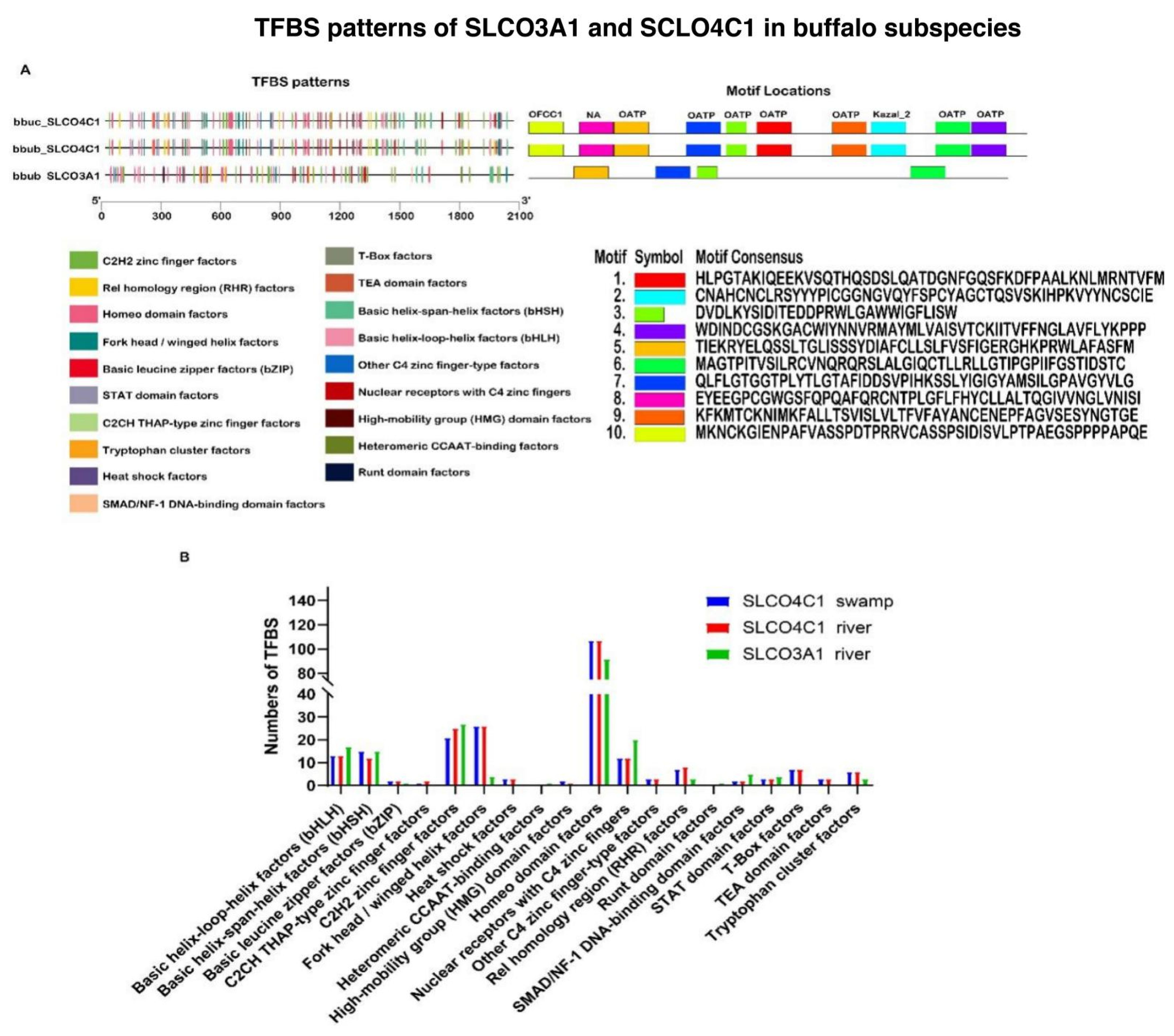 Genes 12 01394 g003