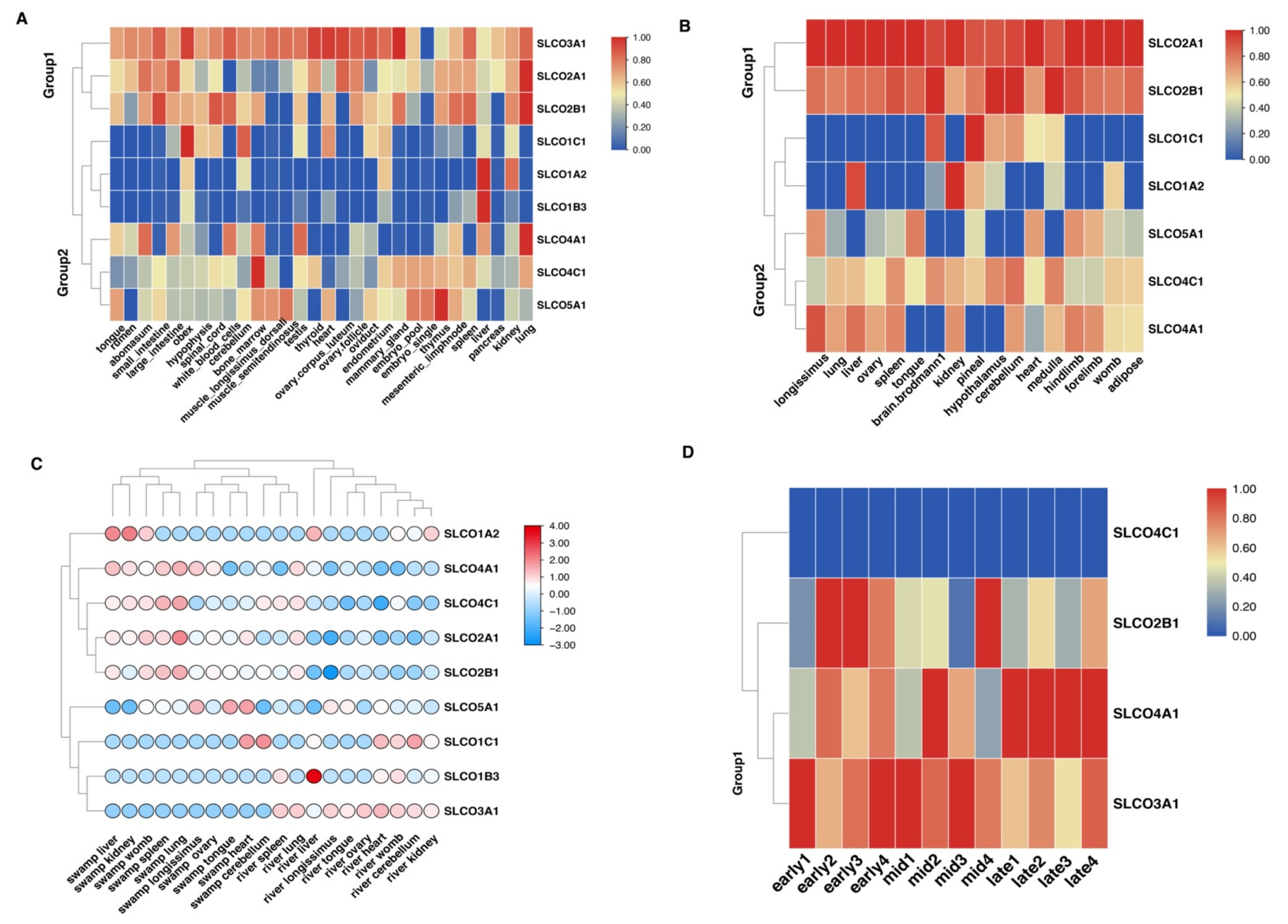 Genes 12 01394 g004