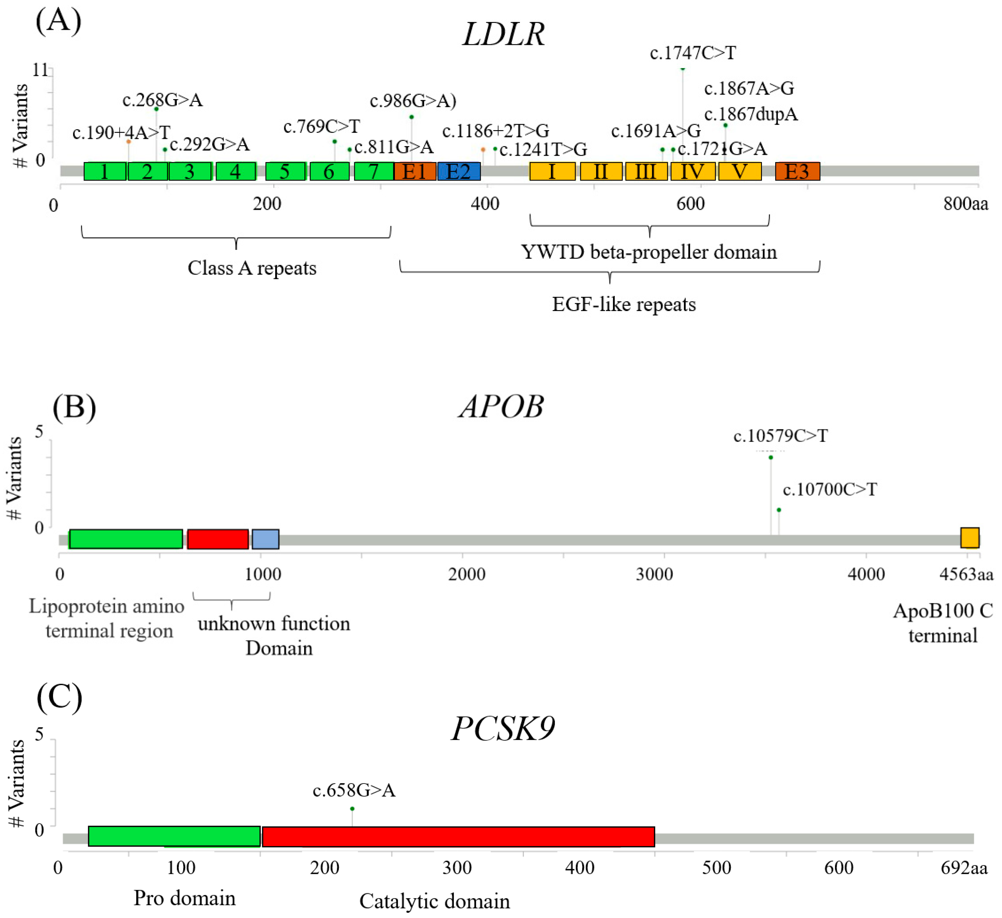 Genes | Free Full-Text | Familial Hypercholesterolemia Genetic Variations  and Long-Term Cardiovascular Outcomes in Patients with Hypercholesterolemia  Who Underwent Coronary Angiography