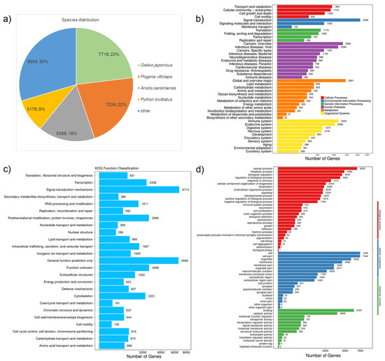 De Novo Transcriptome Assembly and Functional Annotation in Five Species of  Bats