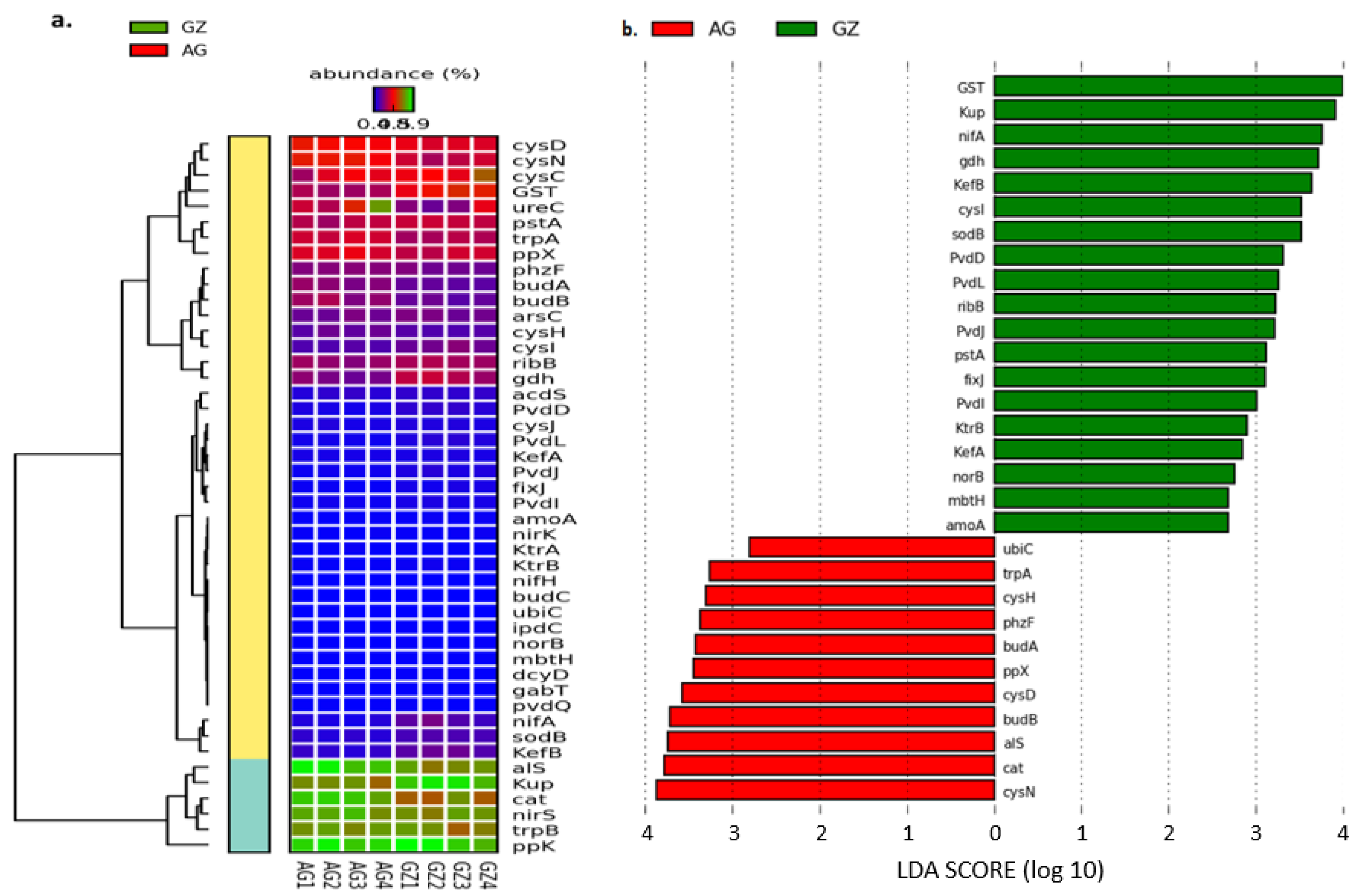Genes 12 01431 g003