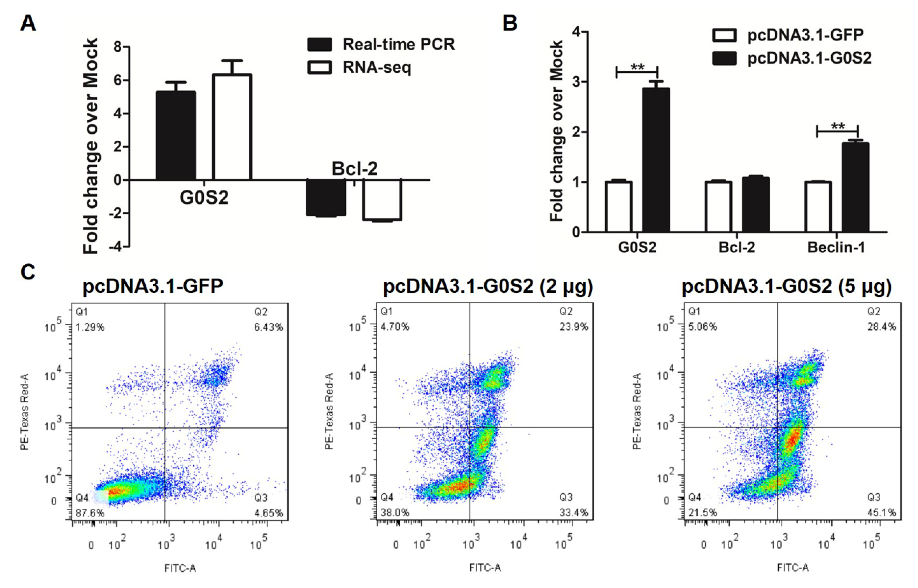 Genes 12 01437 g006